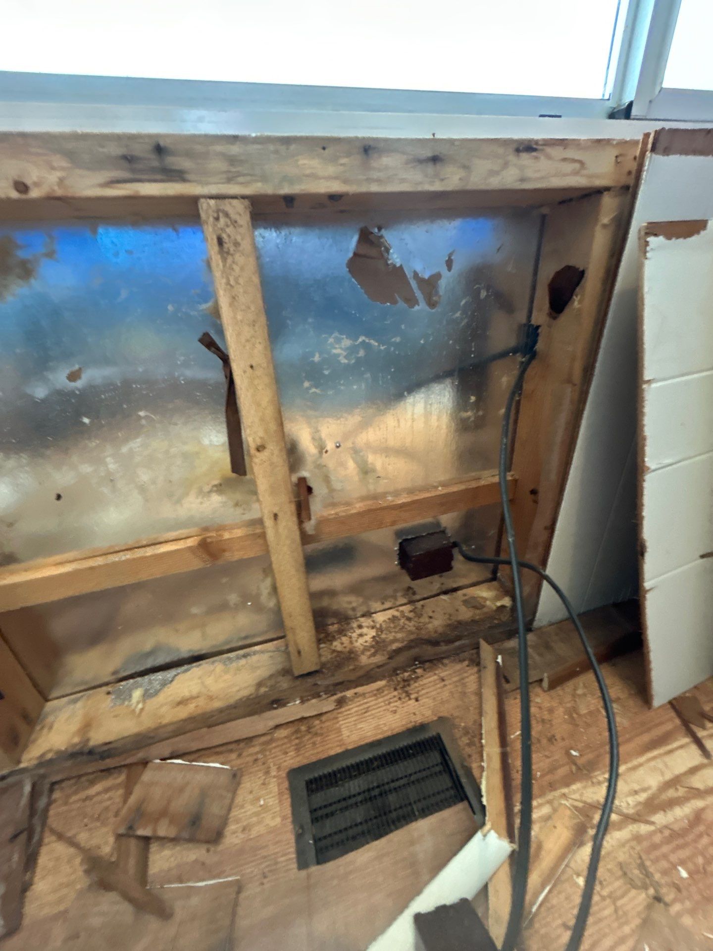 Mold Remediation Bradenton by Ampm Restoration Services 