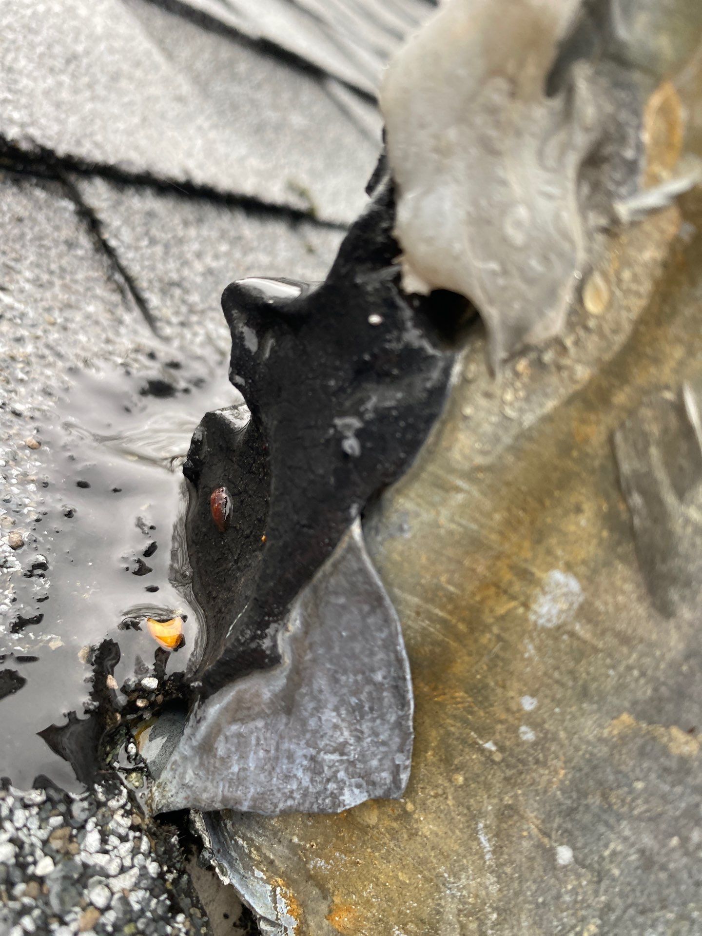 Gutters | Arlington by Mighty Dog Roofing of Greater Middlesex County