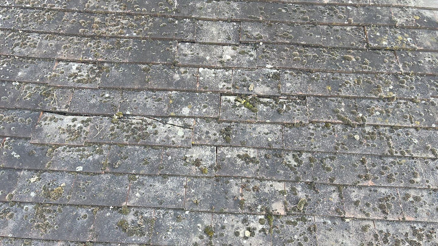 Roof Clean  - Moss Removal - Gutter Clean using Honda 15lpm Low Pressure Washing Machine by Ges Exterior Cleaning ltd