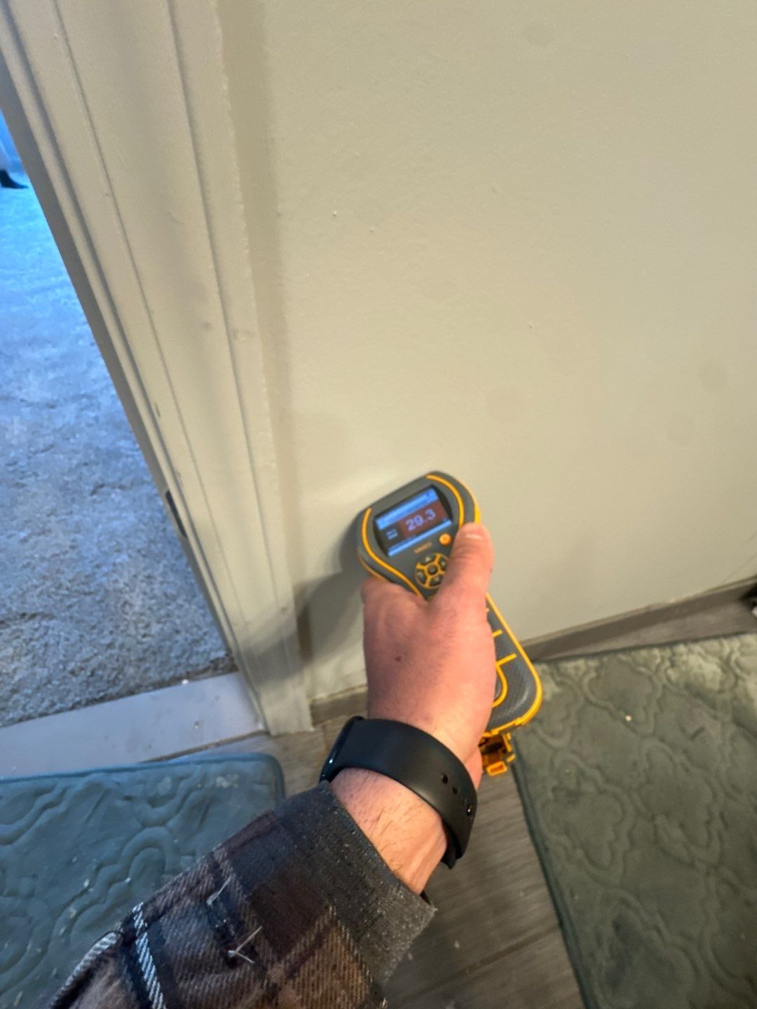 Project in Brighton by EzDry Water Mitigation & Property Restoration