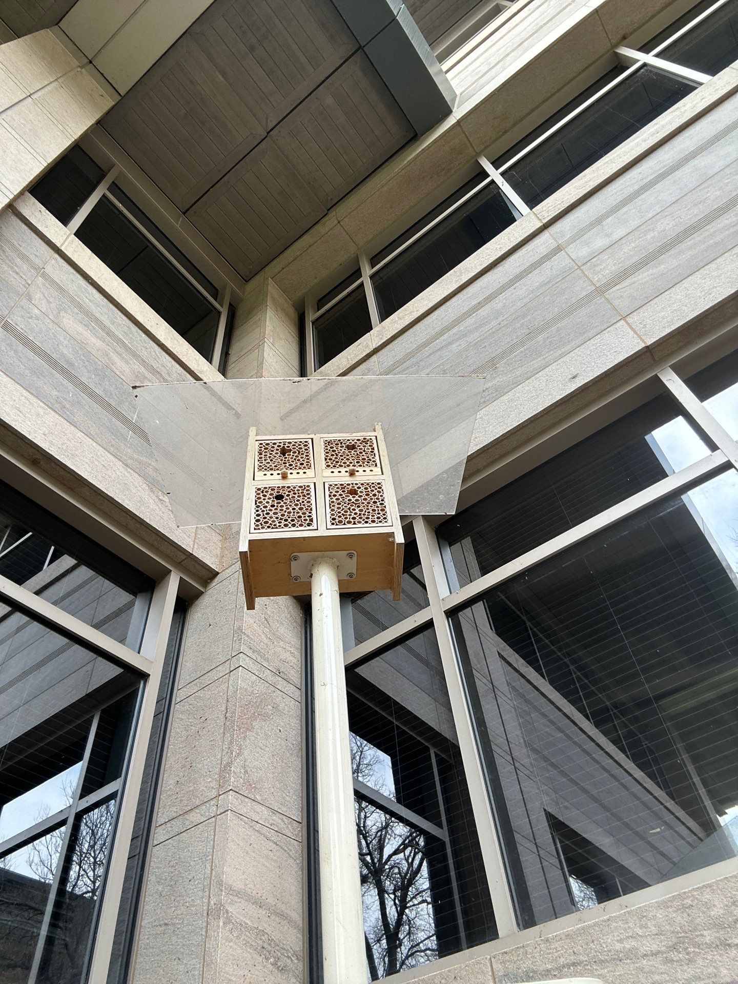 Offices in Irving with Bountiful Honey Bees by Rockwall Honey Bee Company