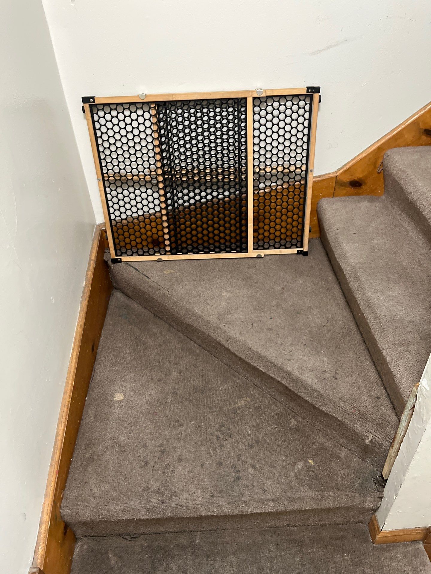 Project in Chicago by Xo Clean Services 