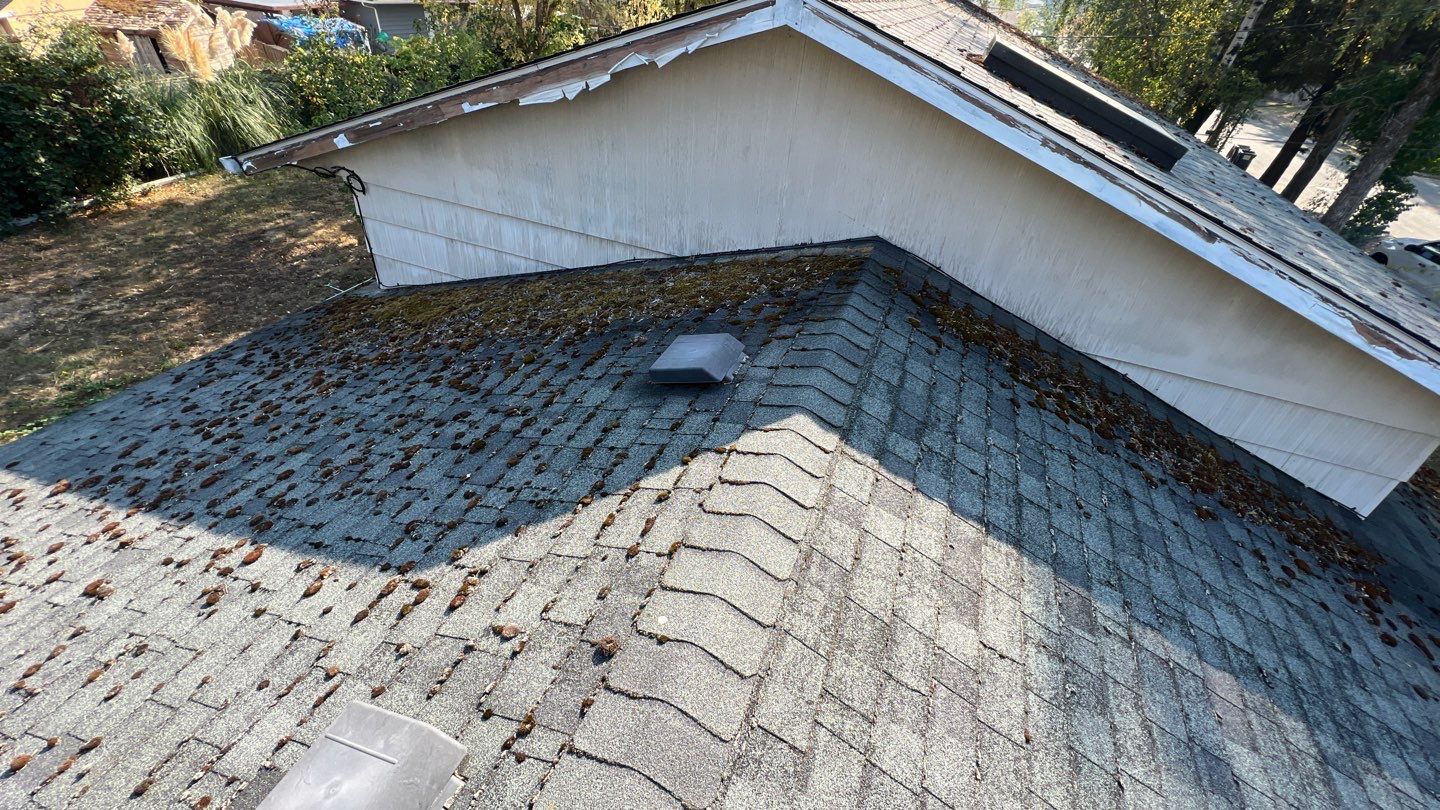 Sierra Gray Shingles by Reimagine Roofing