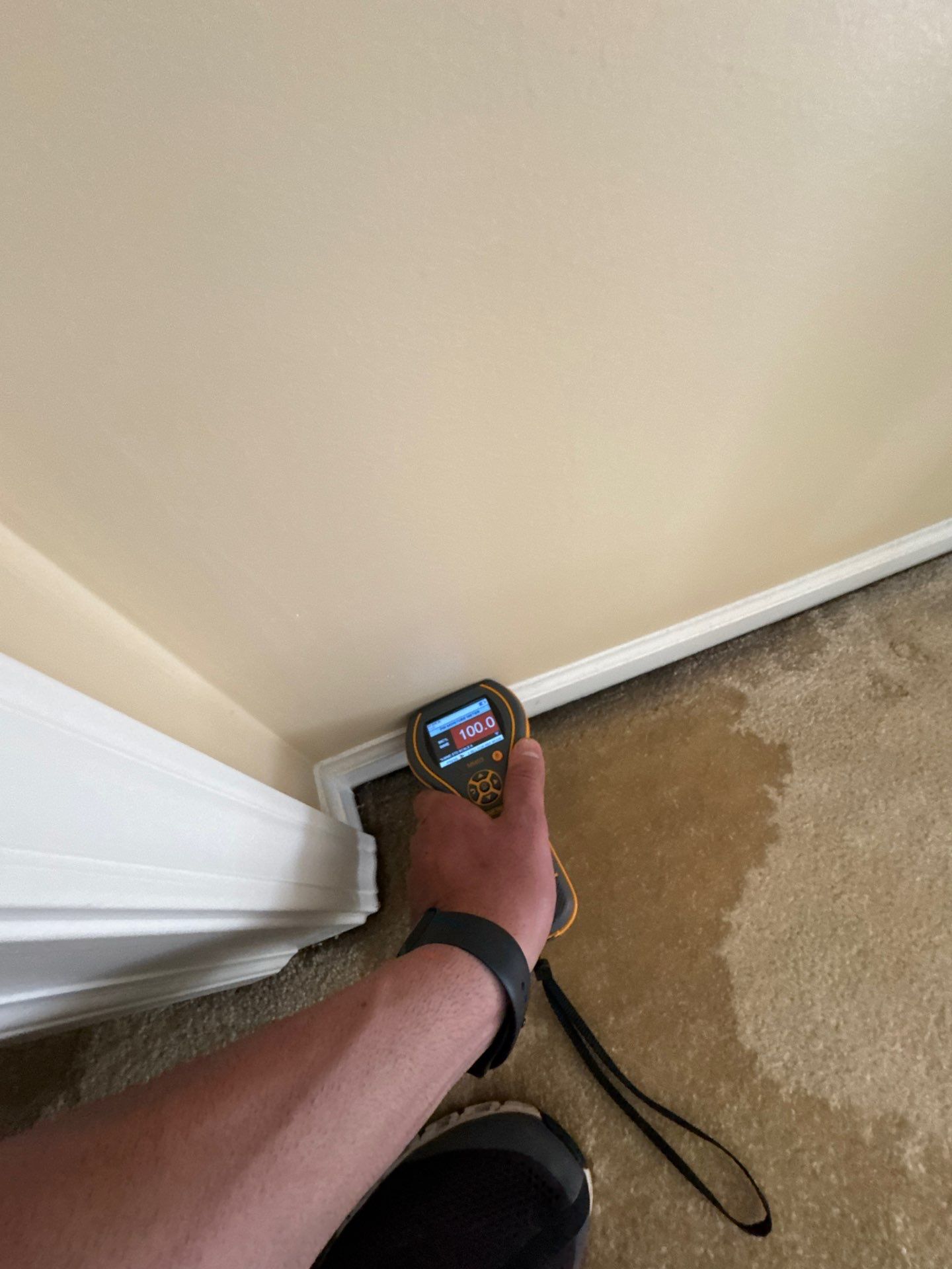 Project in West Bloomfield by EzDry Water Mitigation & Property Restoration