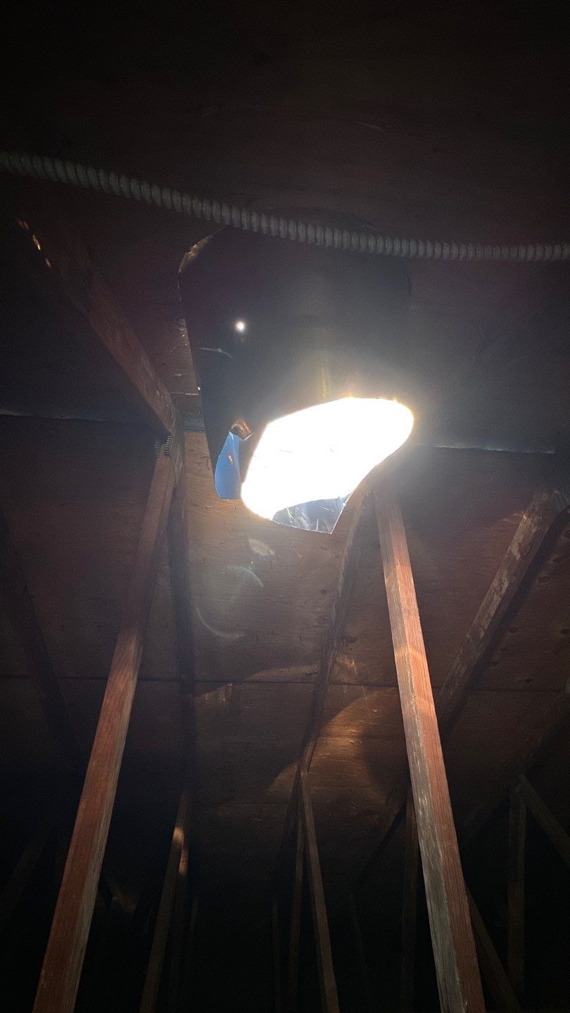 Fairfax Station: Multi-Trade Tree Damage Restoration by RM Banning, Inc.