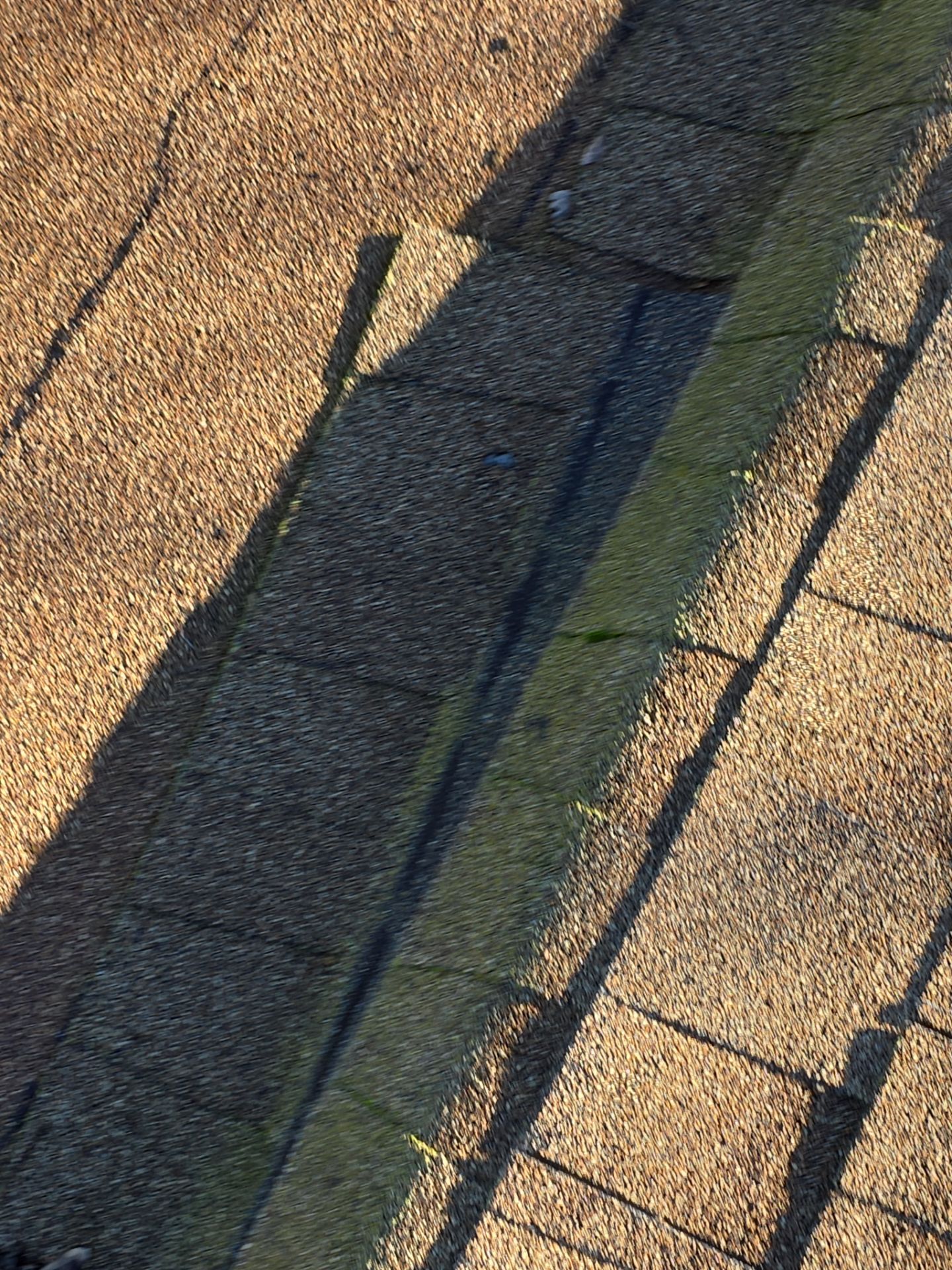 Roof Rejuvenation using Roof Maxx Treatment by Roof Maxx of Folsom