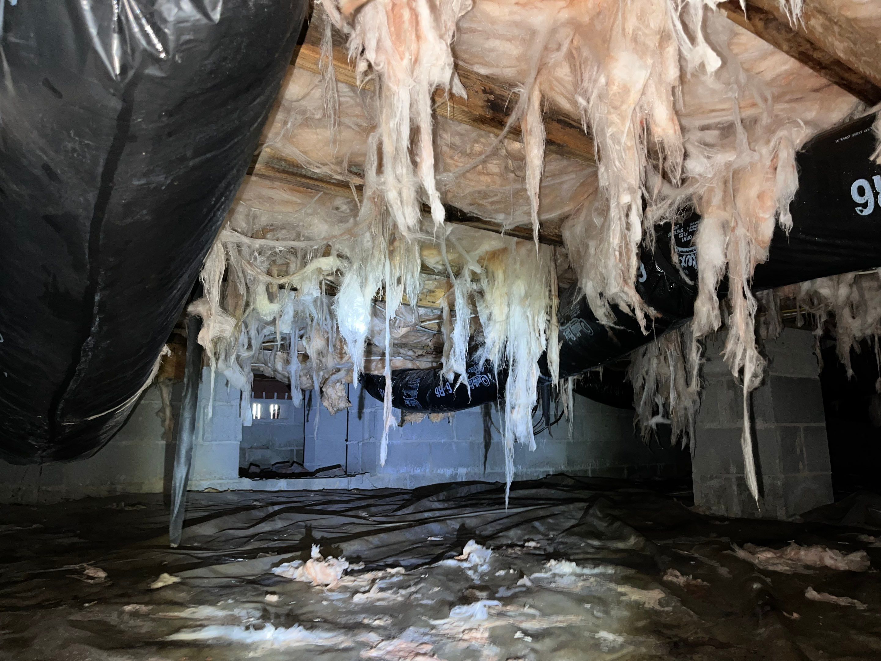 Premium Encapsulation with Bora-Foam using Bora-Foam Insulation by Impact Crawlspace