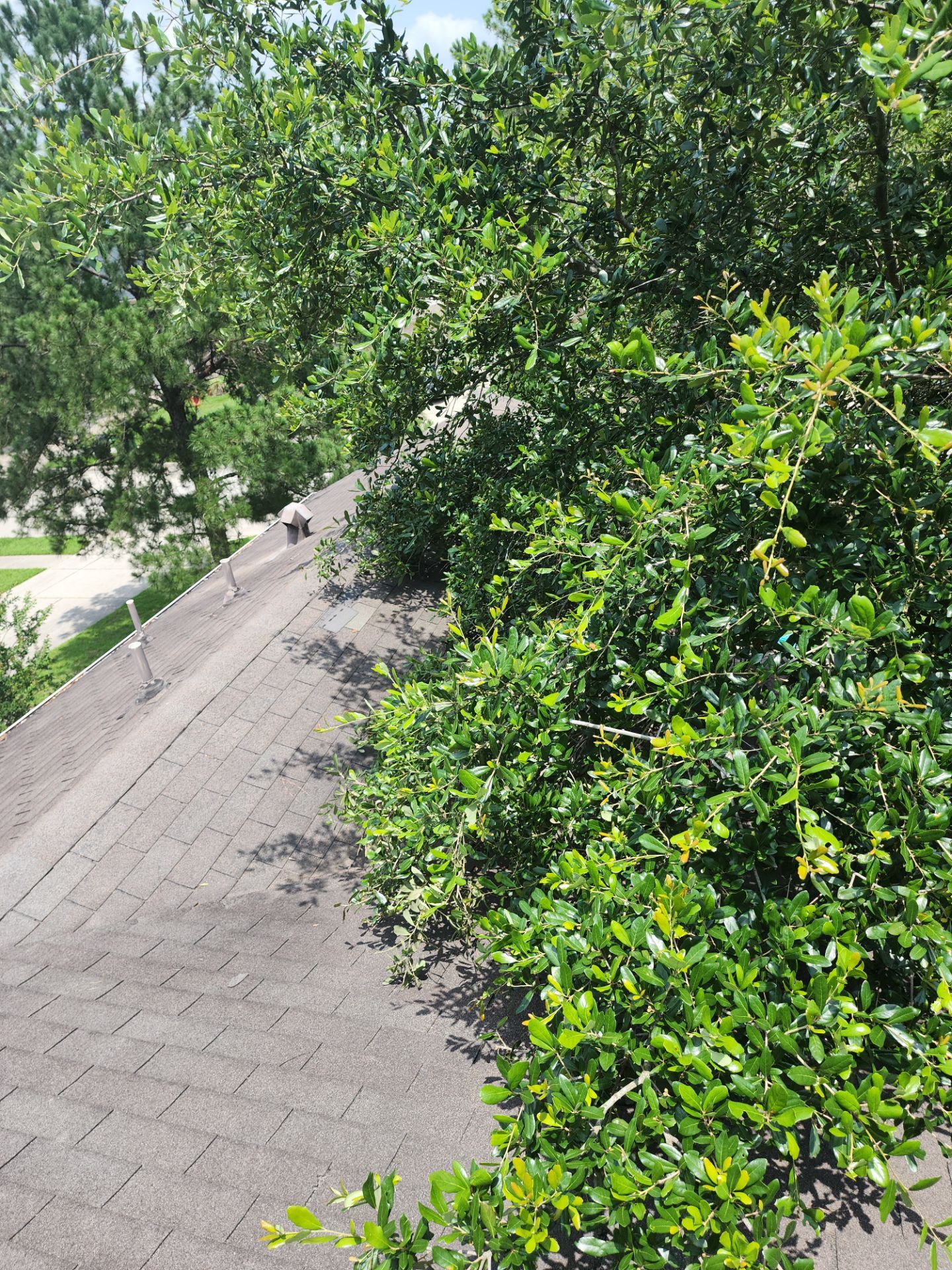 Residential Roofing Repair using Owen's Corning Duration (Lifetime) Shingles by Roof Repair Company