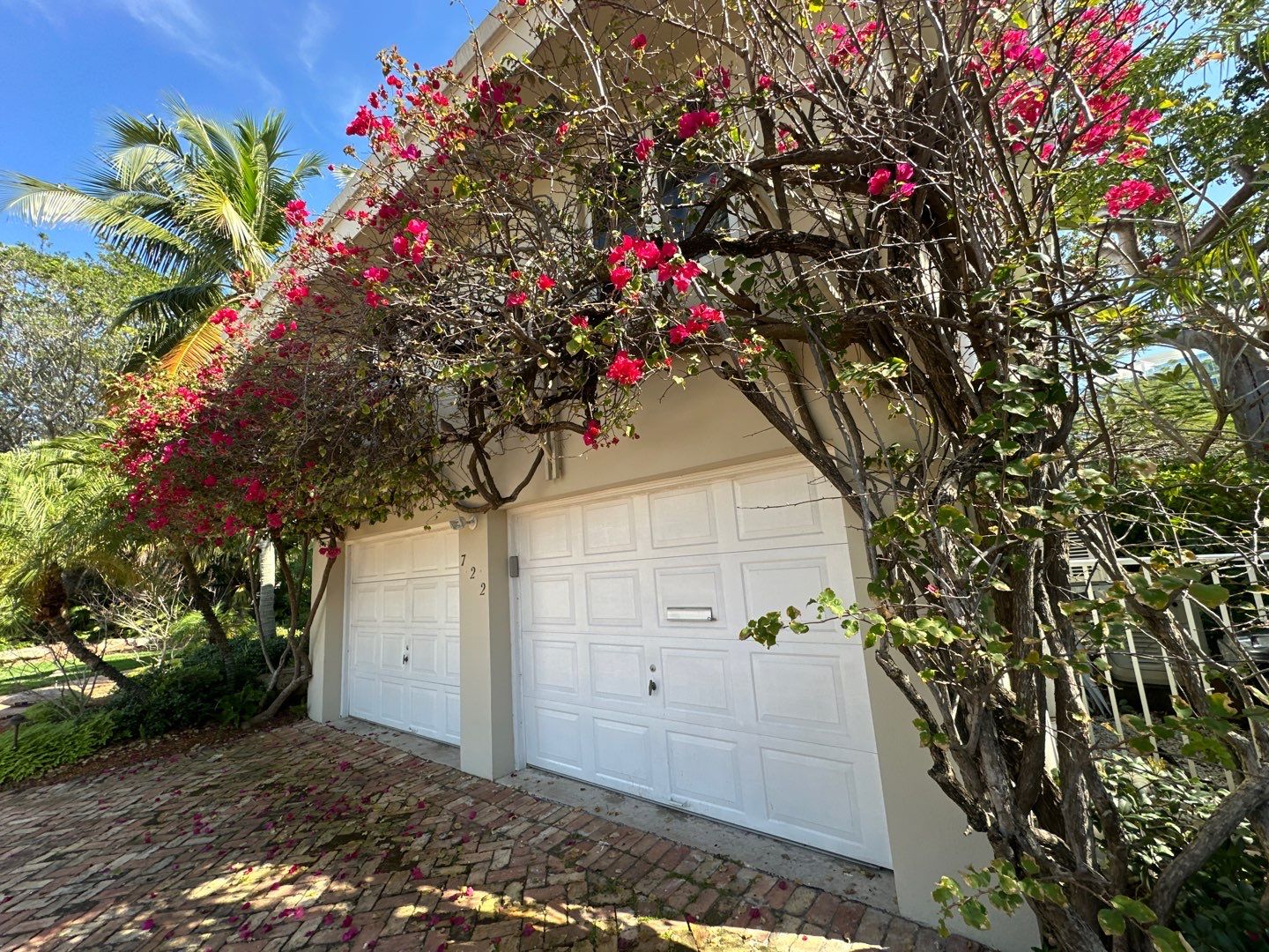 Residential Full Exterior  by John “The Greek” Painting