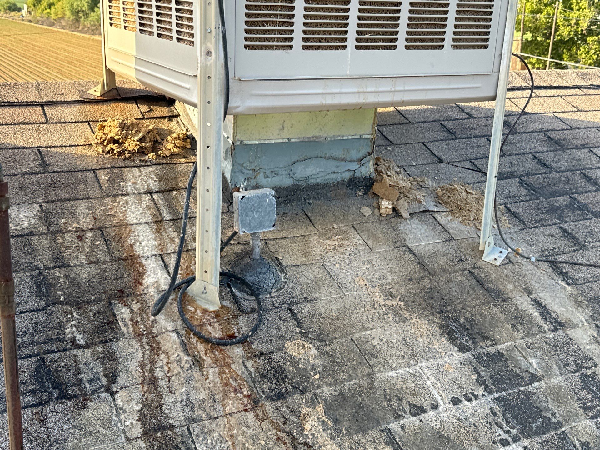 Park's Full Re-roof by All Storm Roofing & Construction