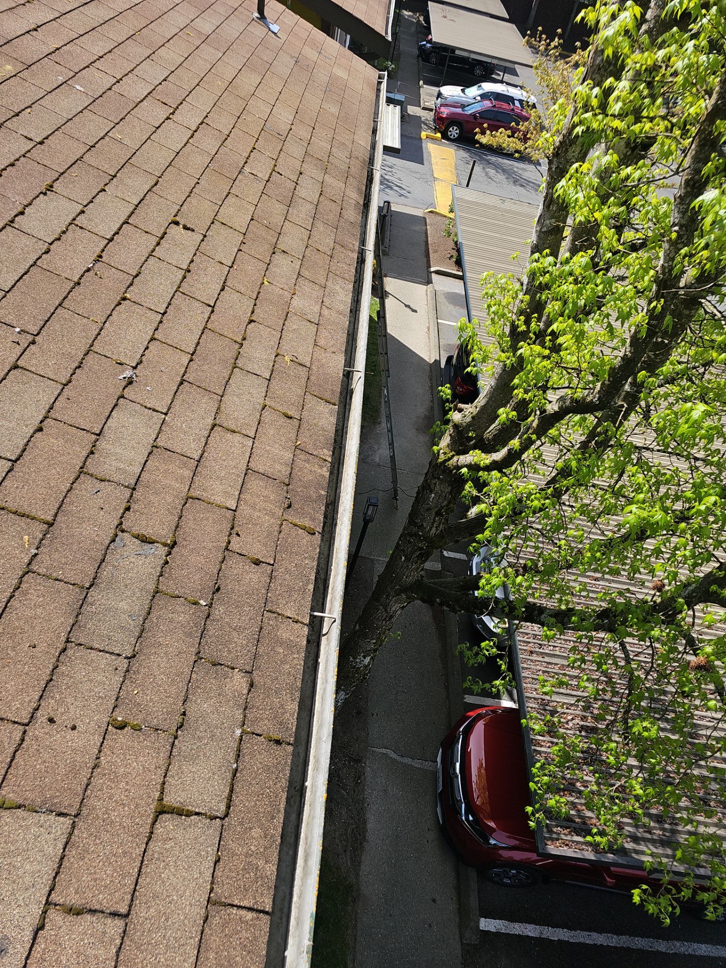 Commercial gutter cleaning Bellevue, WA after photo with clean gutters