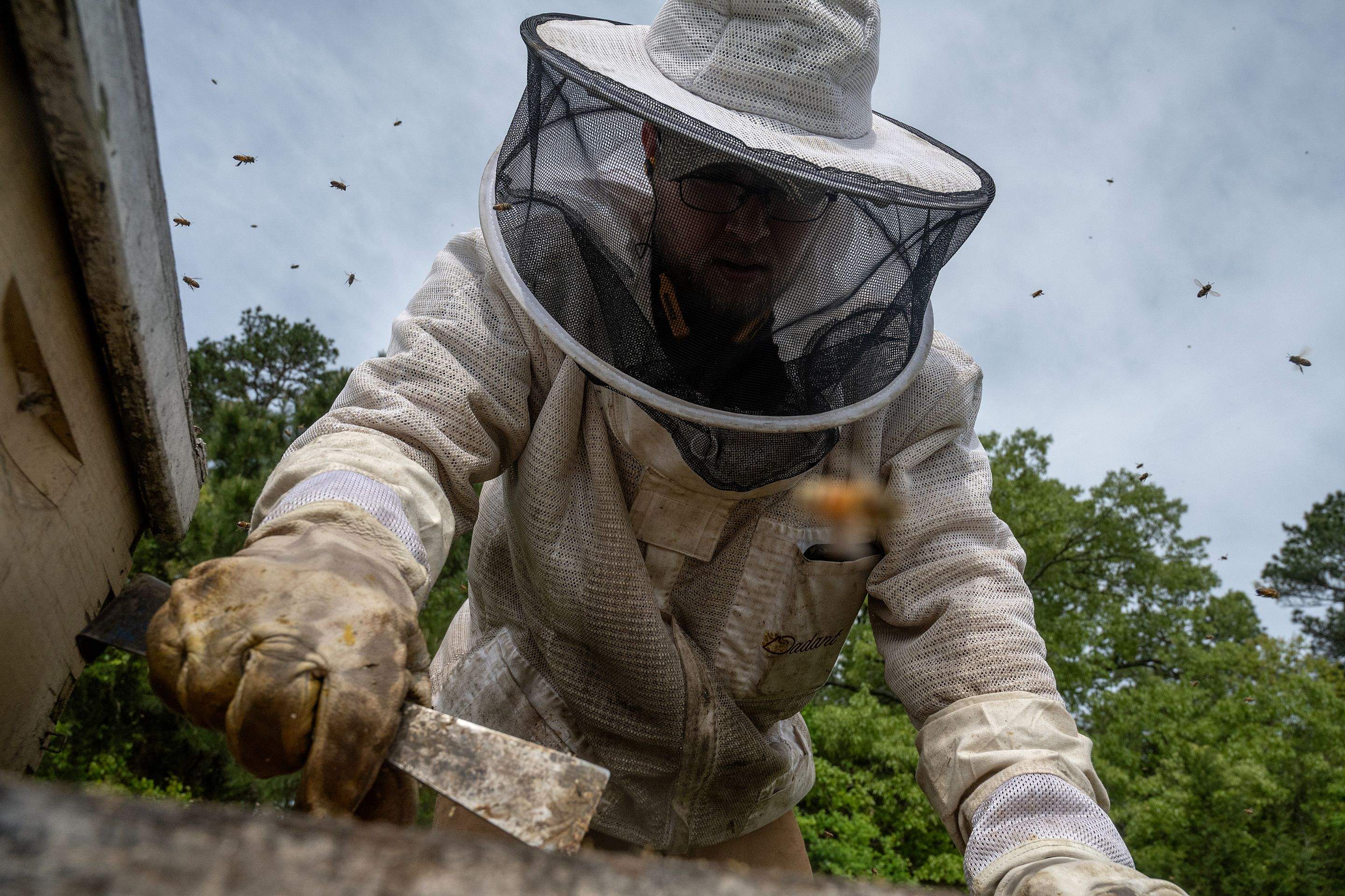 Splits in East Texas by Rockwall Honey Bee Company
