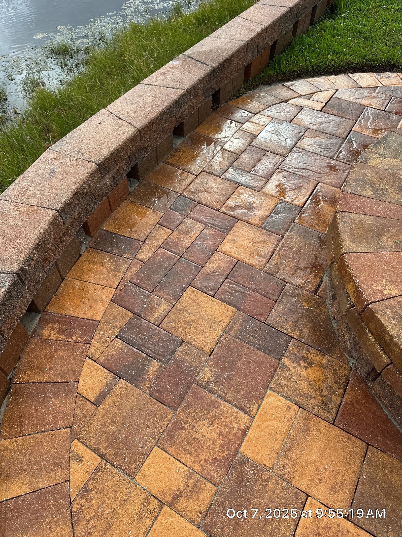 Driveway and Pool Deck Paver Restoration in Apollo Beach by Supreme Paver Experts