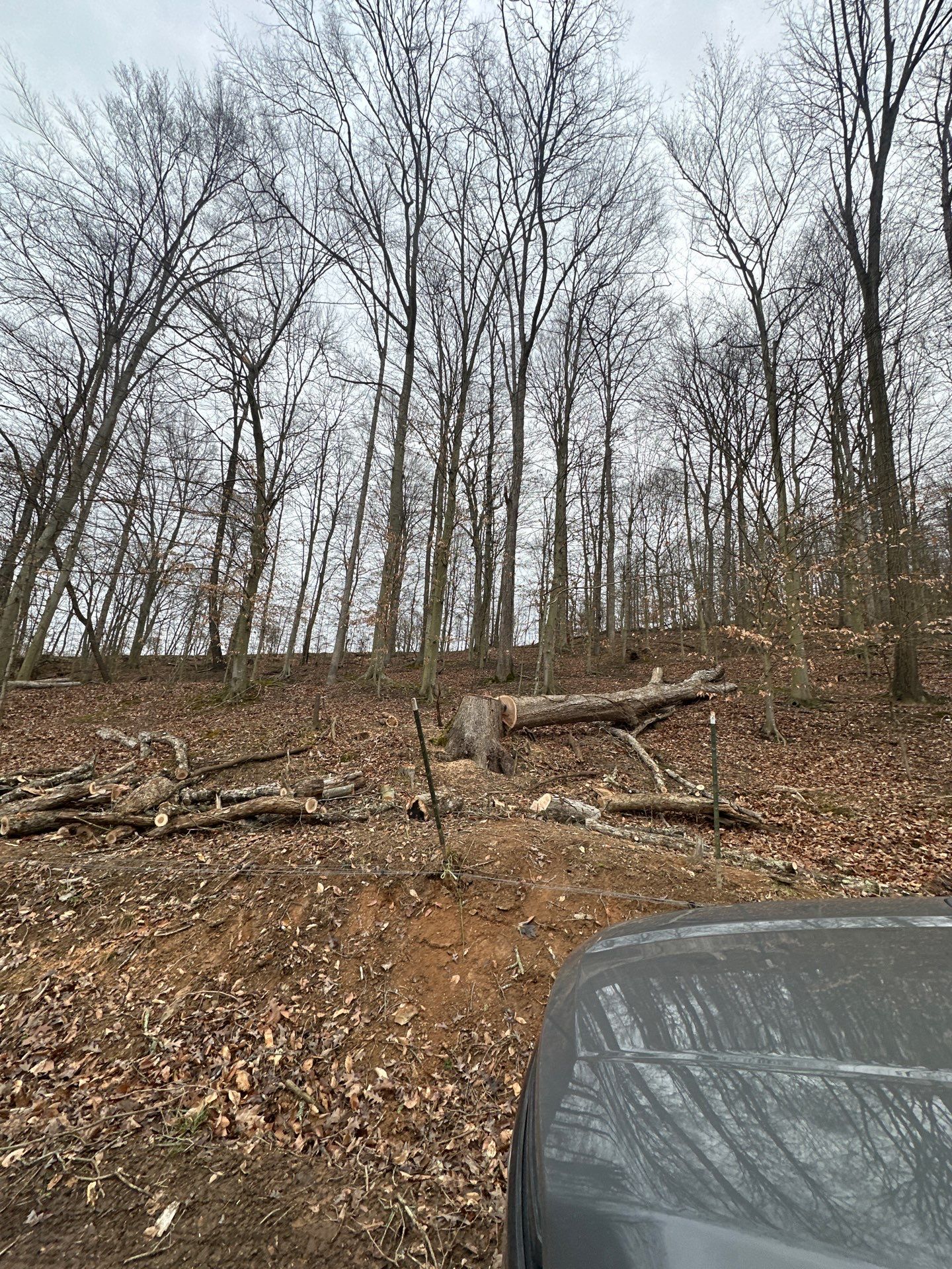 Project in WV by Jones Empire LLC