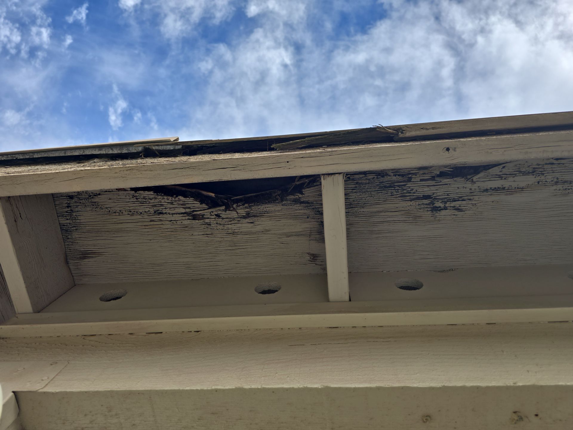 Project in Phoenix, AZ by Showtime Roofing & Coatings LLC