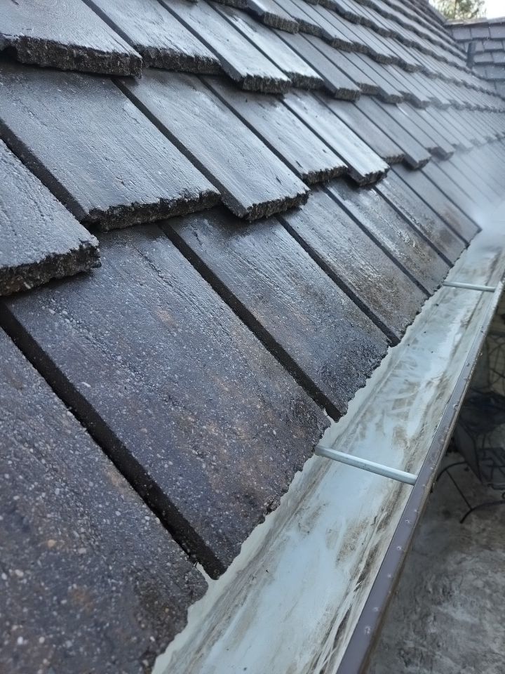 Moss Removal/ Treatment using Biocide by Willamette Outdoor Wash LLC