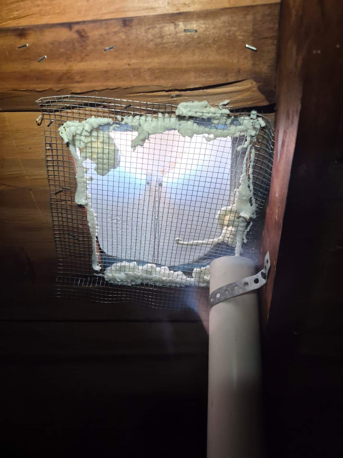 Project by Advanced Attic Solutions by Advanced Attic Solutions