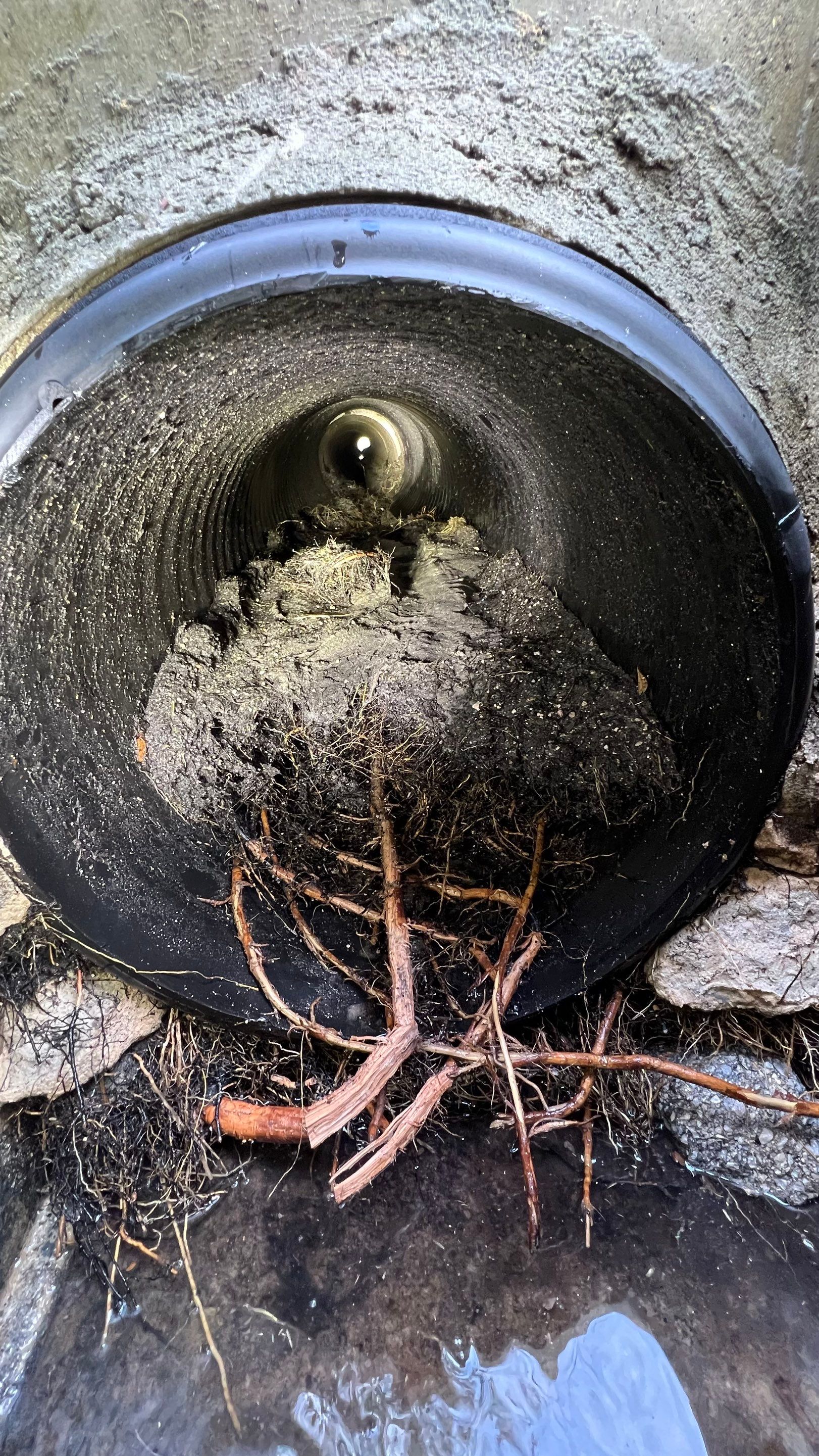 Naples Community Entry Road Stormwater System Cleaning by APS Power & Water