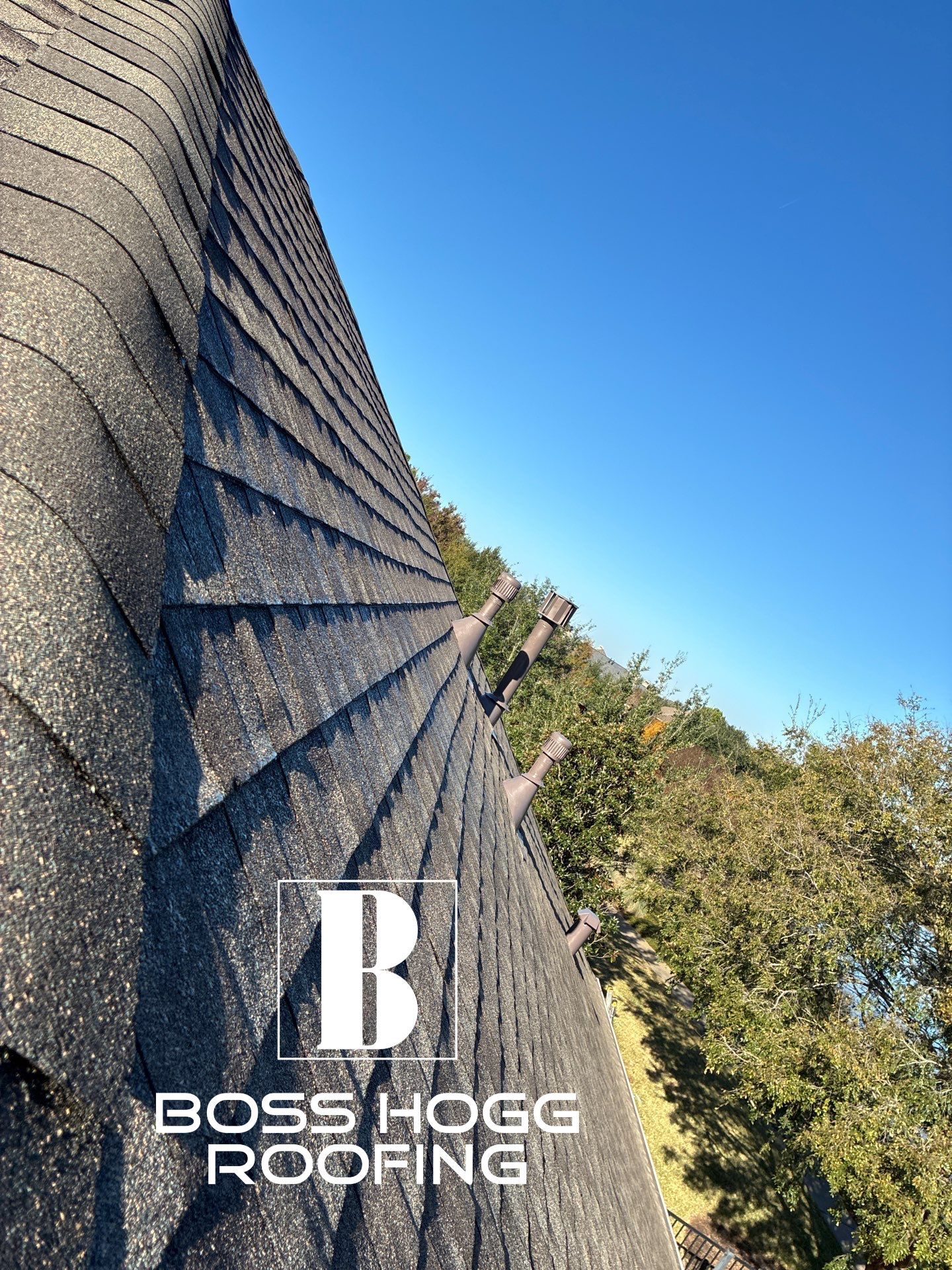 LYNA L by Boss Hogg Roofing