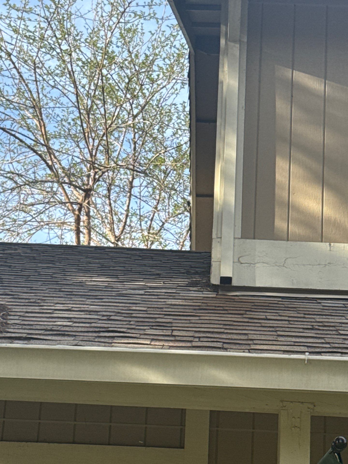 Roof Rejuvenation using Roof Maxx Treatment by Roof Maxx of Folsom