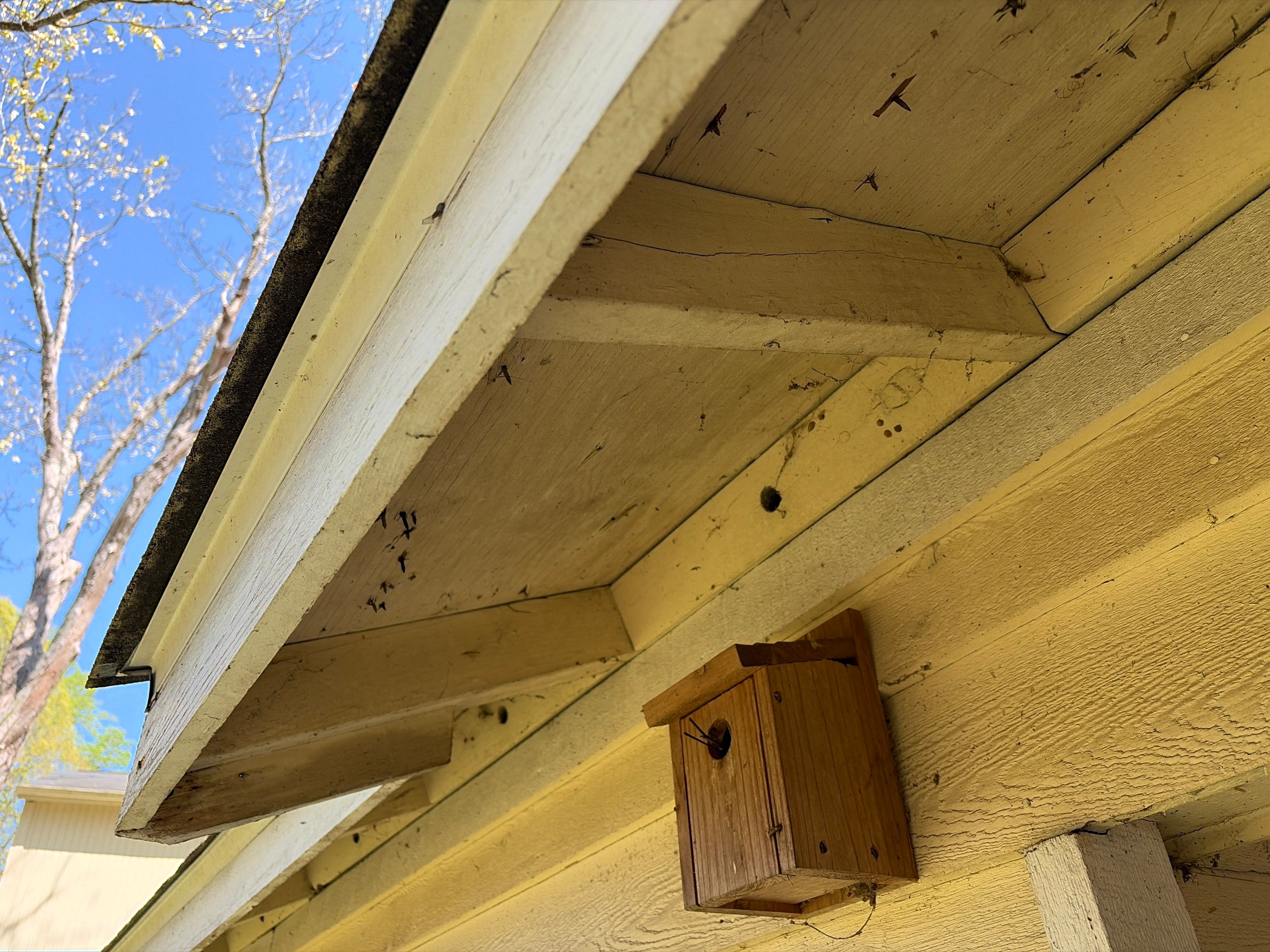 Partial Siding Replacement Using James Hardie Lap Siding by Nelson Exteriors