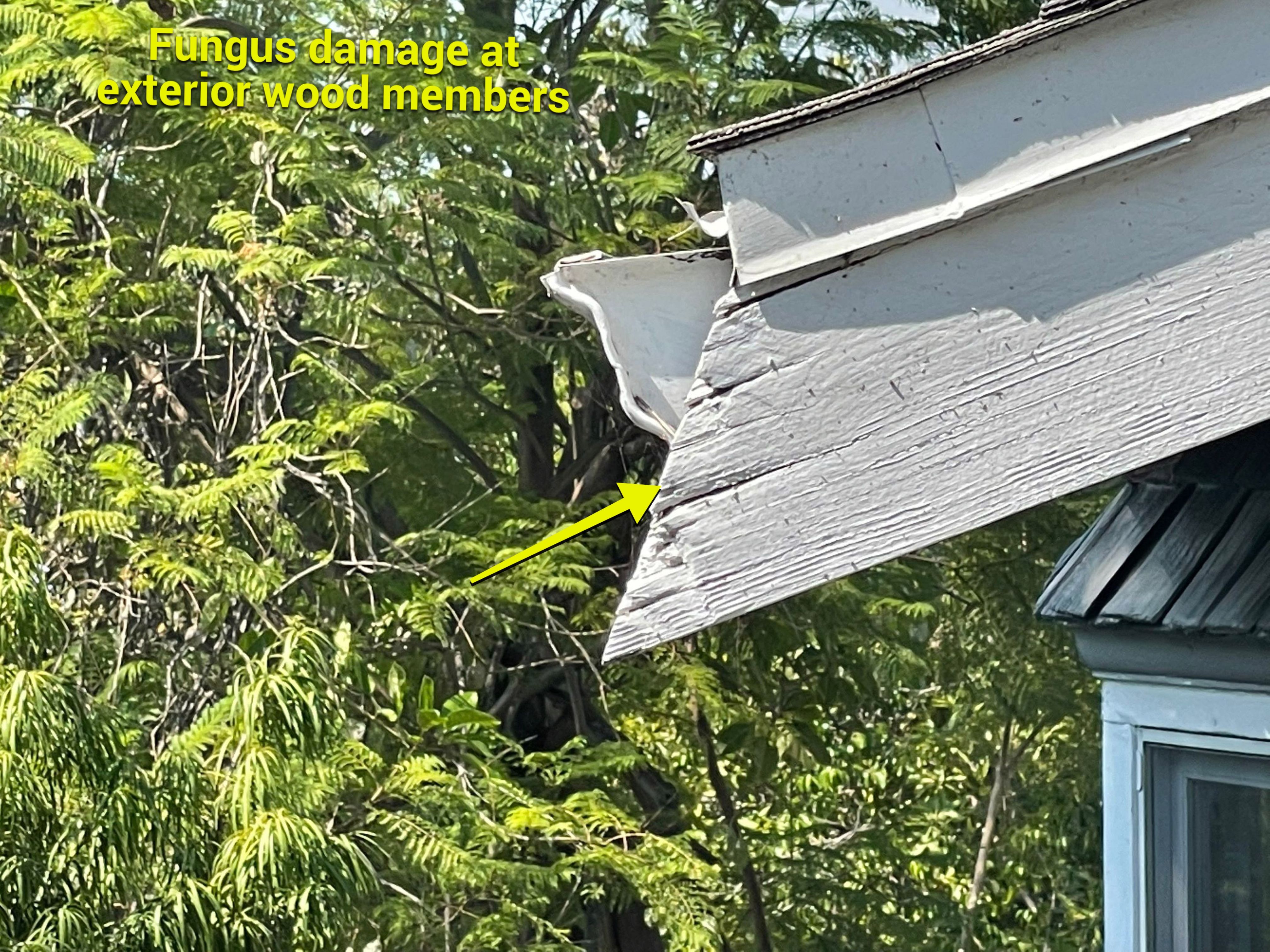 Wood Destroying Organisms Report by GLOBAL Termite Solutions