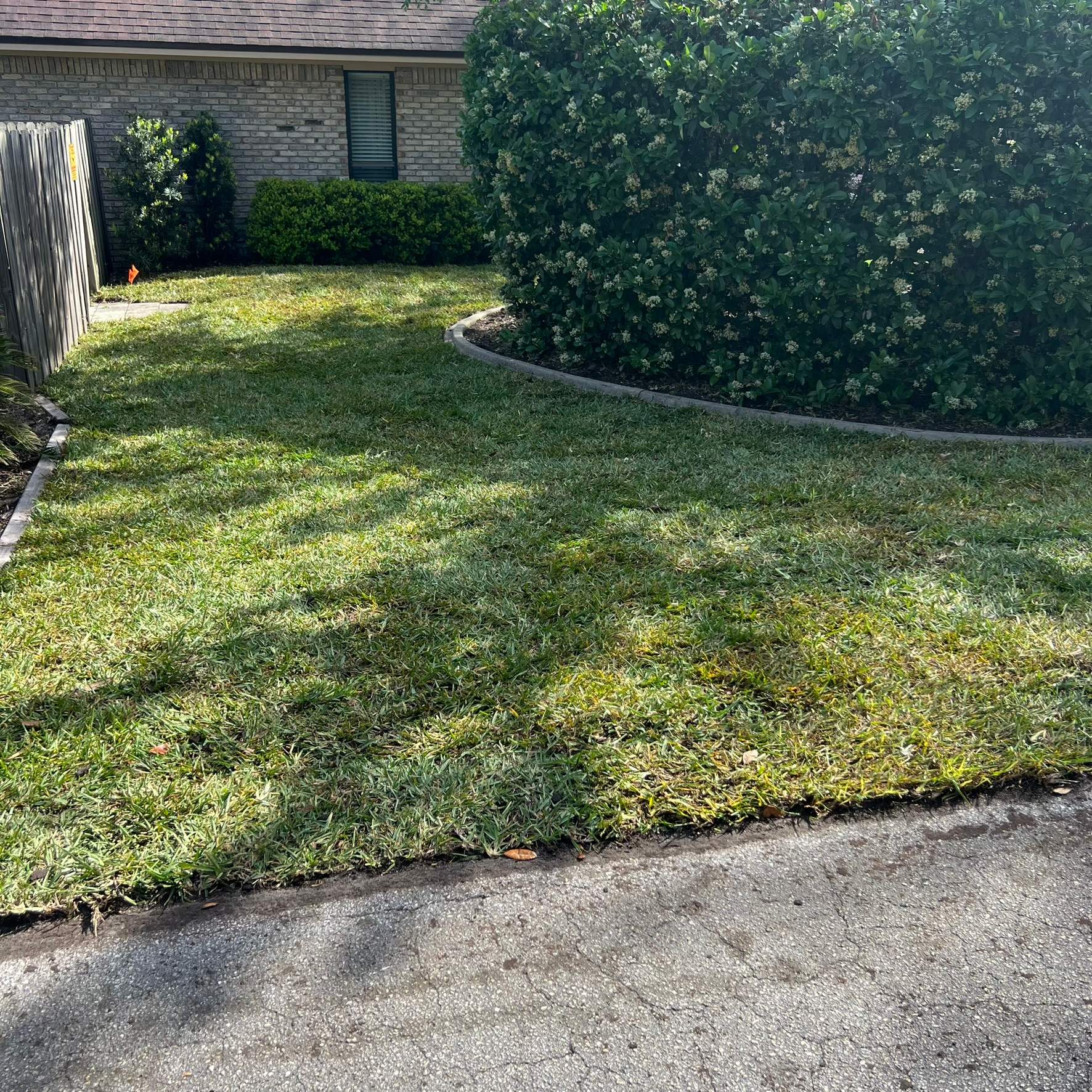 Sod Installation | Orange Park by ProGreen Services