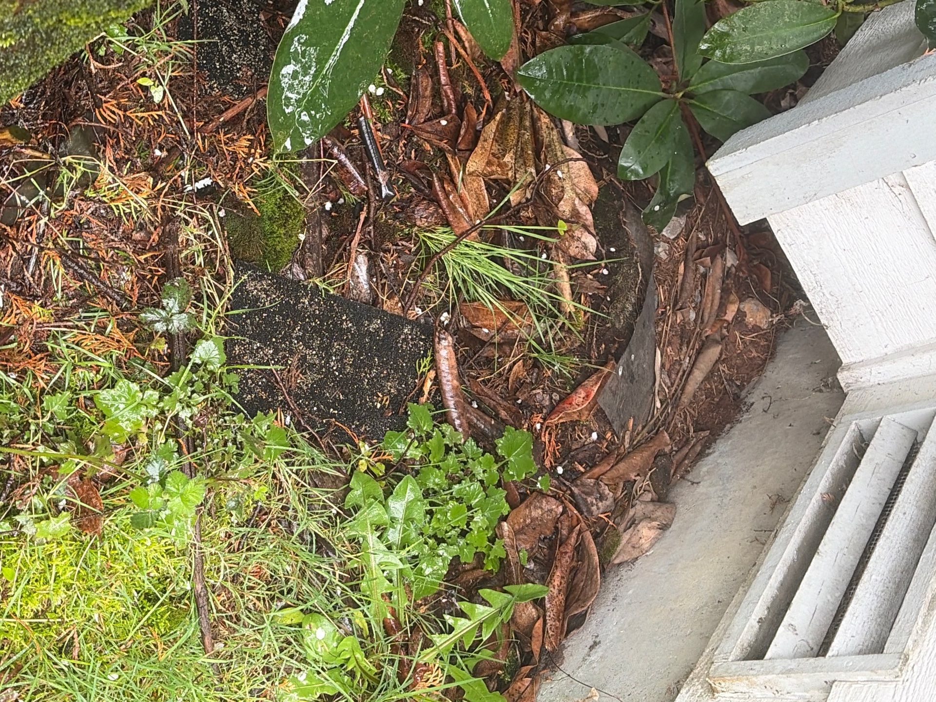 Roof in Lake Stevens by Connolly Construction Company