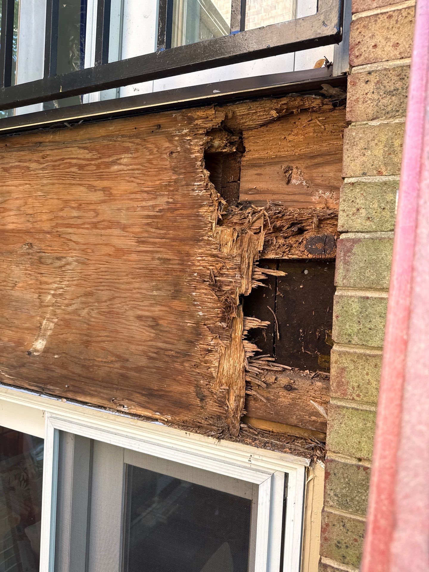 Comprehensive Window and Sliding Door Replacement in Baltimore by Forbes Design Center