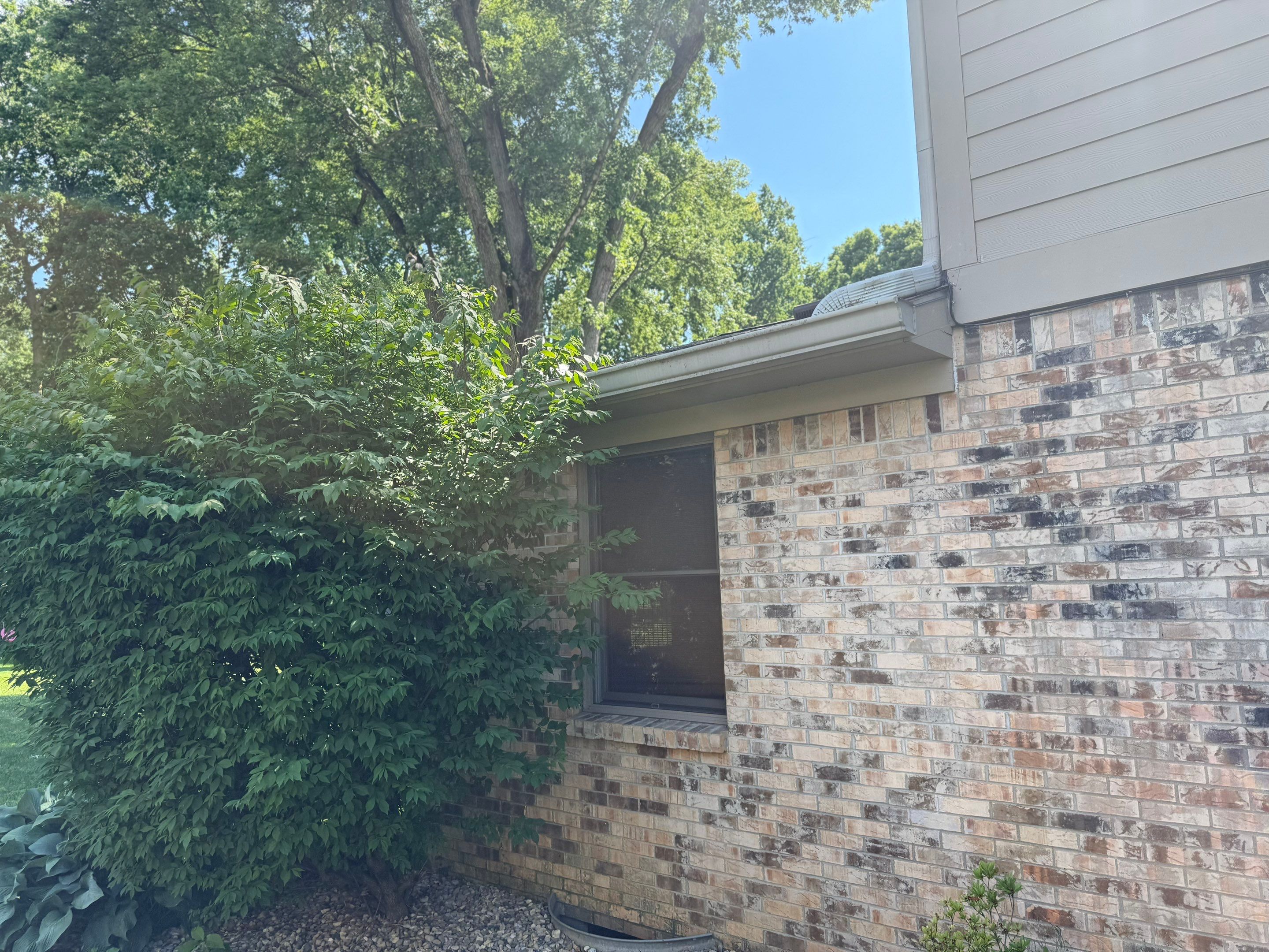 Roof Replacement by 317 Roofing & Restorations