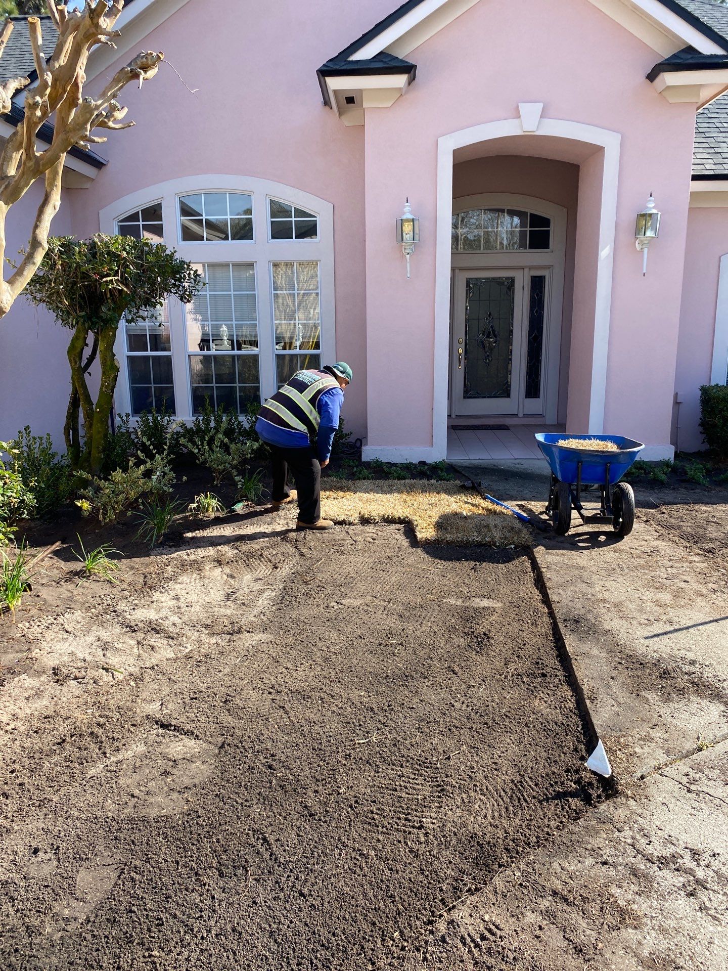 Deerwood Resident | Tree Removal & Clean-Up by ProGreen Services