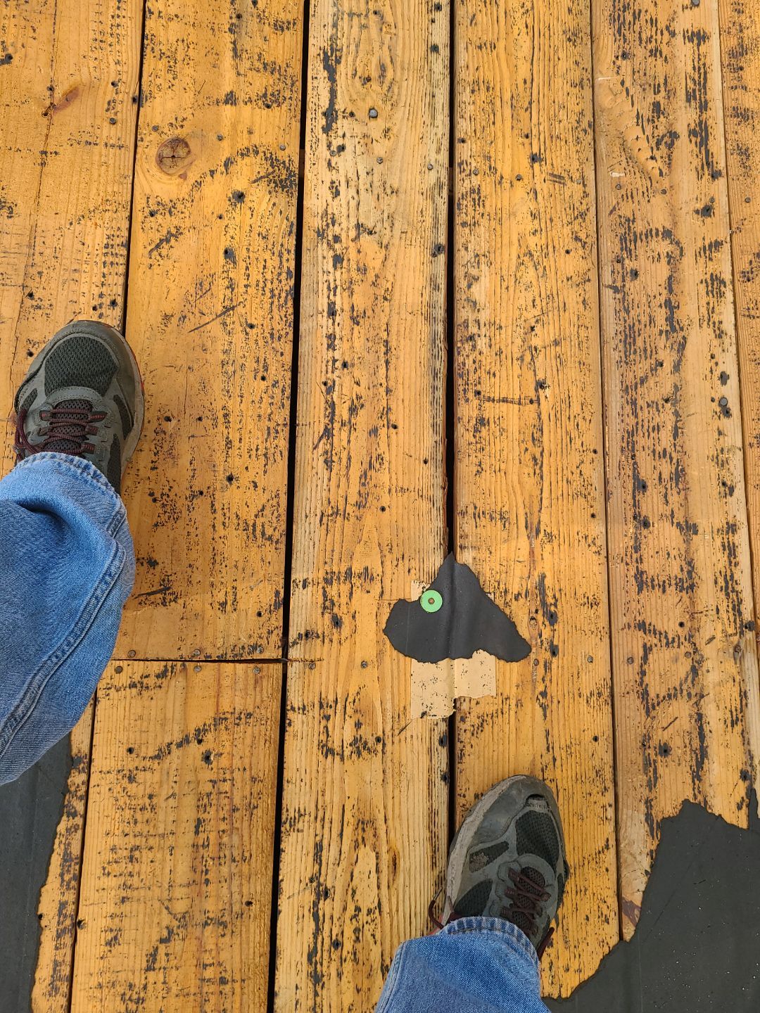 Alexandria CertainTeed Landmark Pro Roof in Max Def Charcoal Black by RM Banning, Inc.