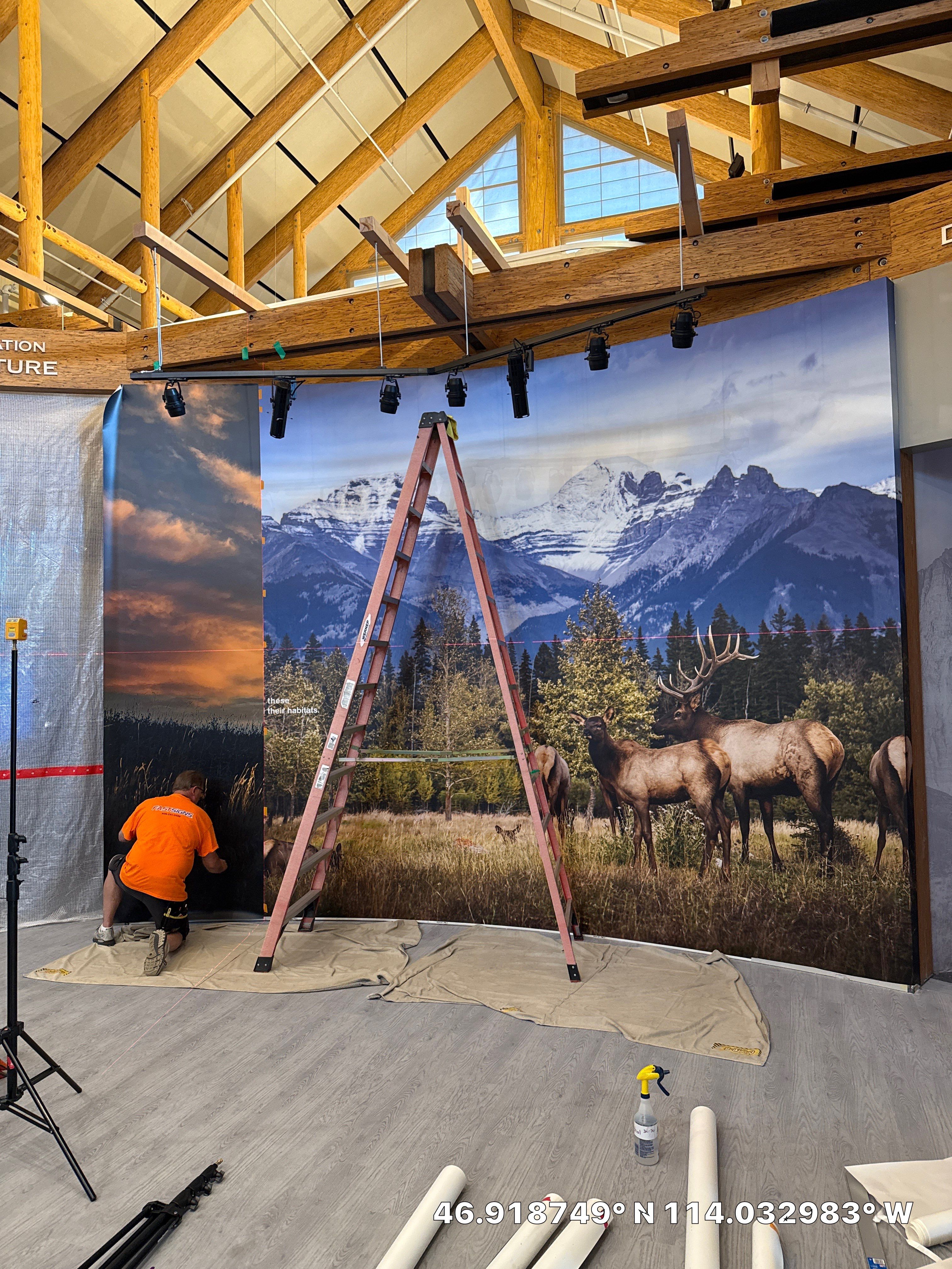 Rocky Mountain Elk Foundation Wall Mural  by FASTSIGNS of Missoula