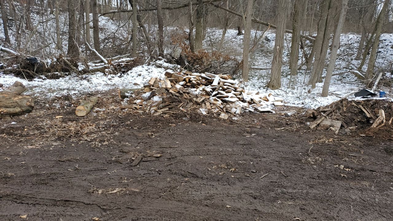 Tree Removal using Tree Removal by Mike Jones & Sons Tree Service LLC 