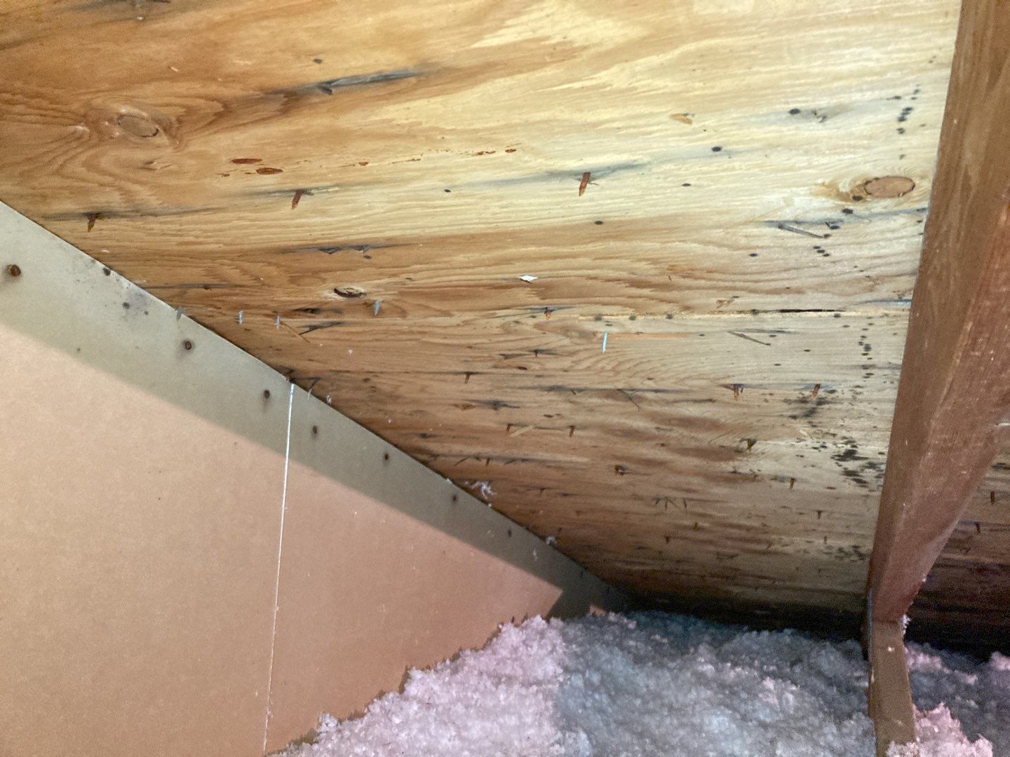 Mold Remediation in Attic by Accountable Home Services