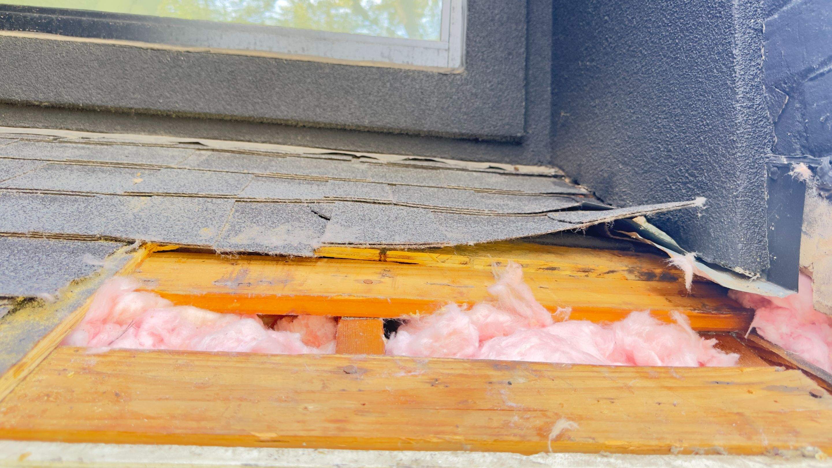 Sneakers by Rockwall Honey Bee Company