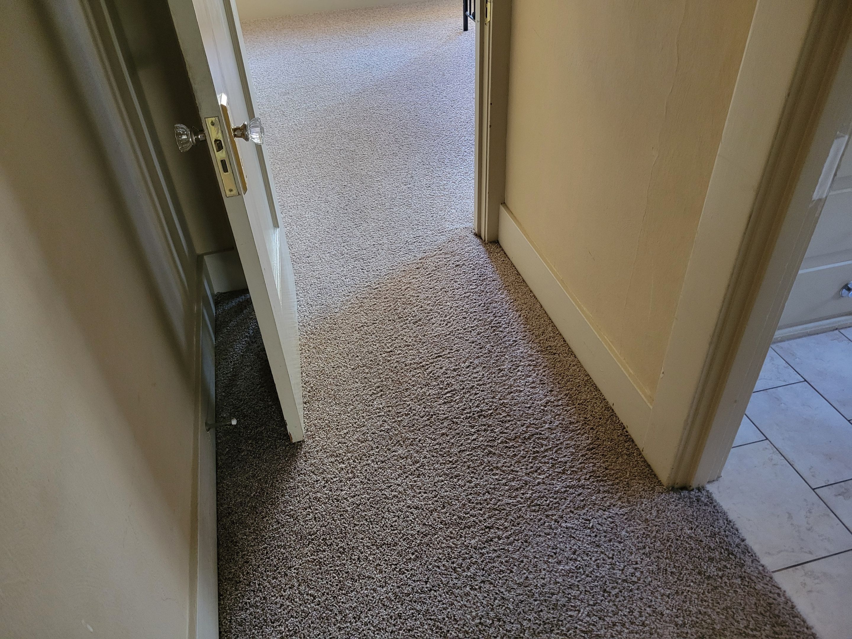 Pet Treatment and Carpet Cleaning by Ardent Carpet Restore LLC