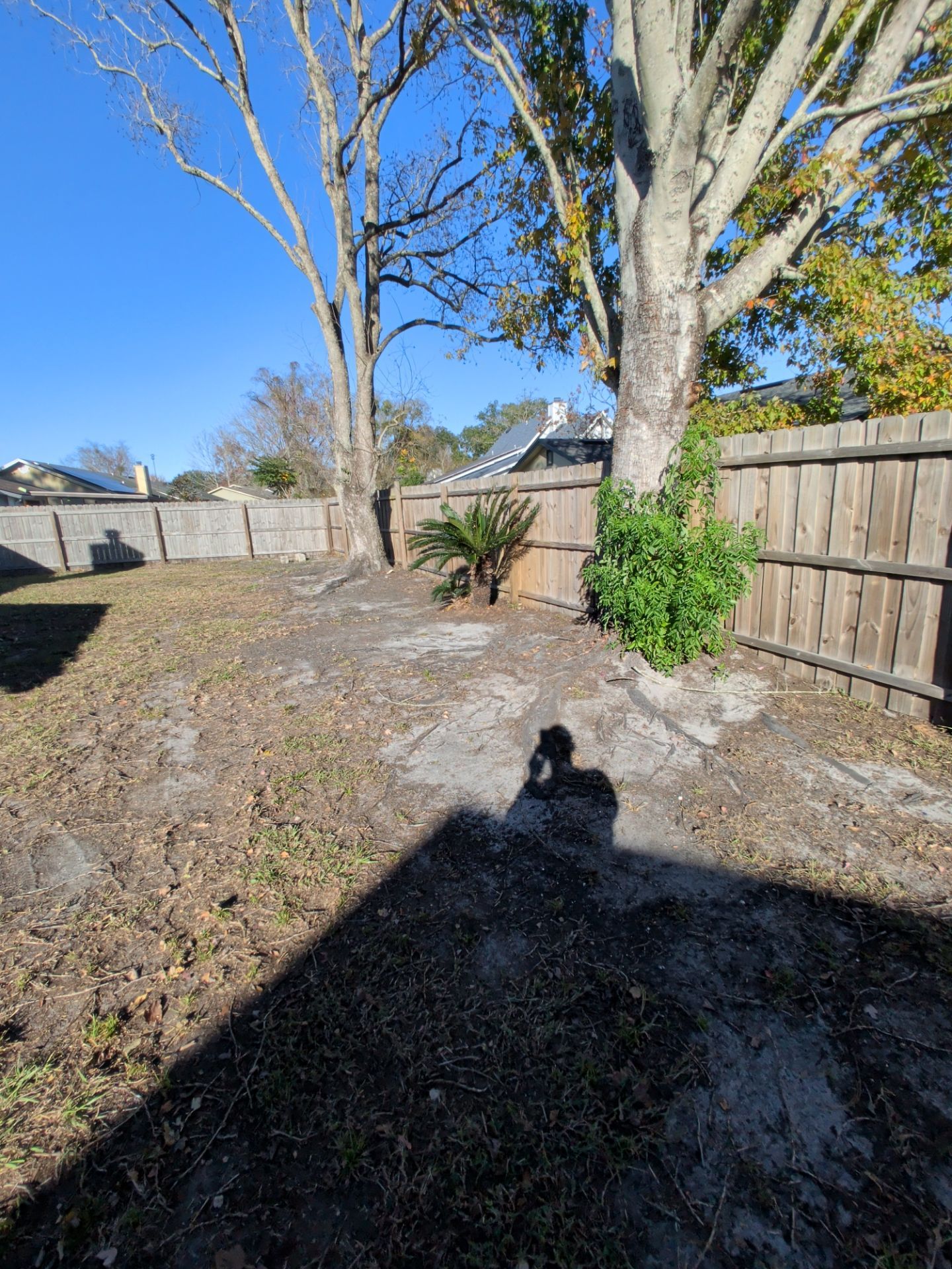 Residential Leaf Removal Service — Westside Jacksonville by Harmoni Home Services