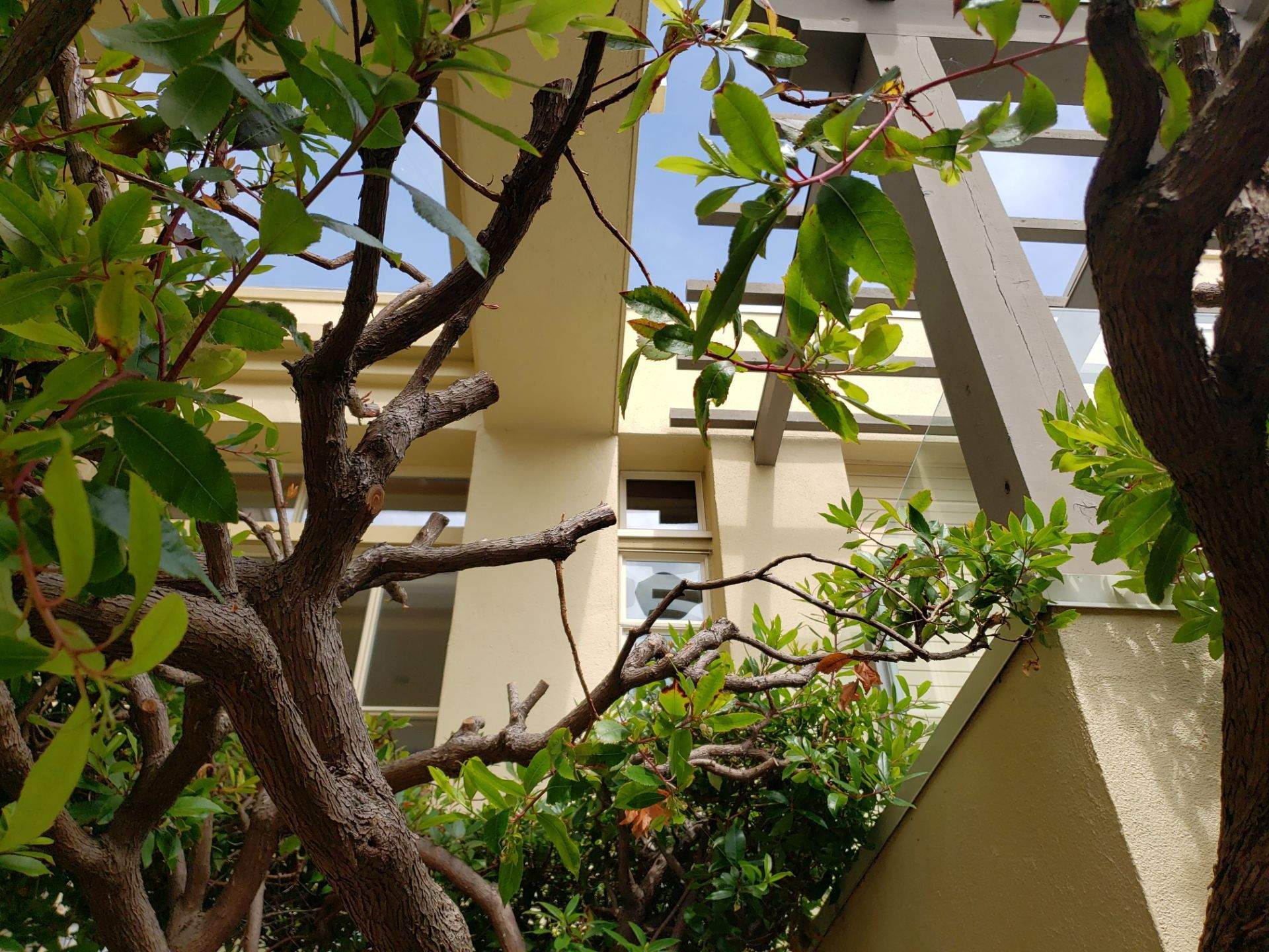 Garden Care - Oak Bay Residence by Habanero Garden and Exterior Care
