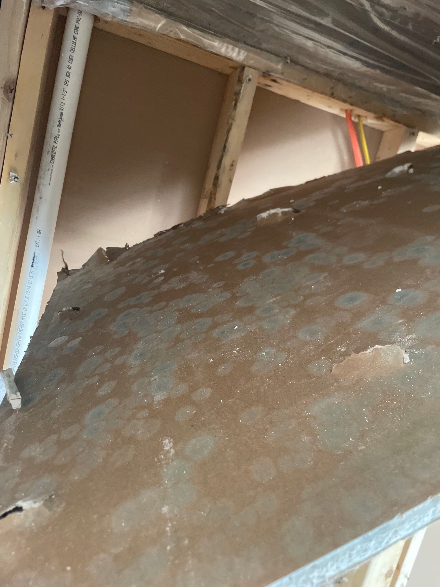Water & Mold Remediation in Mazomanie by Dry Source Property Restoration 