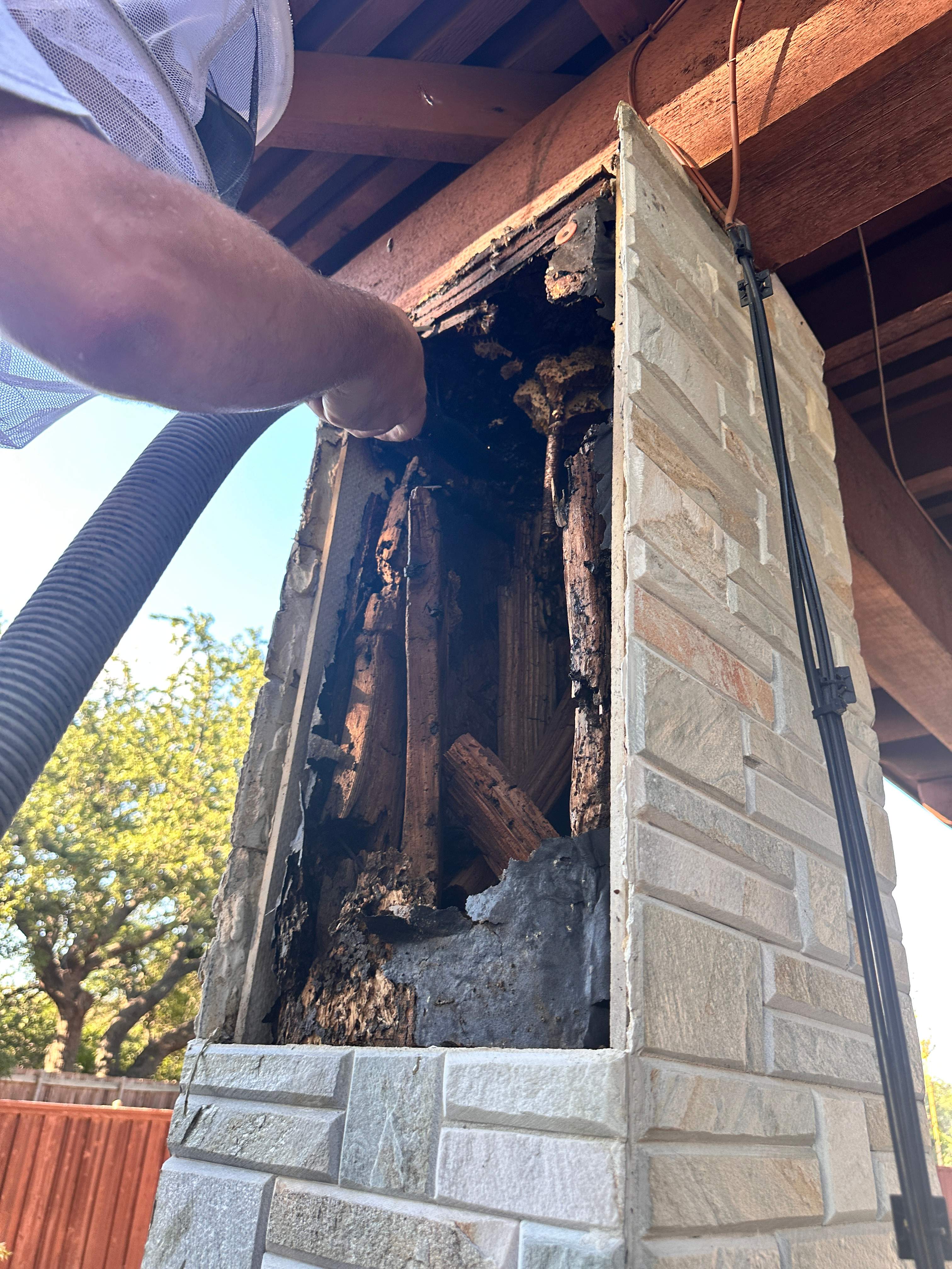 Scary Pergola by Rockwall Honey Bee Company