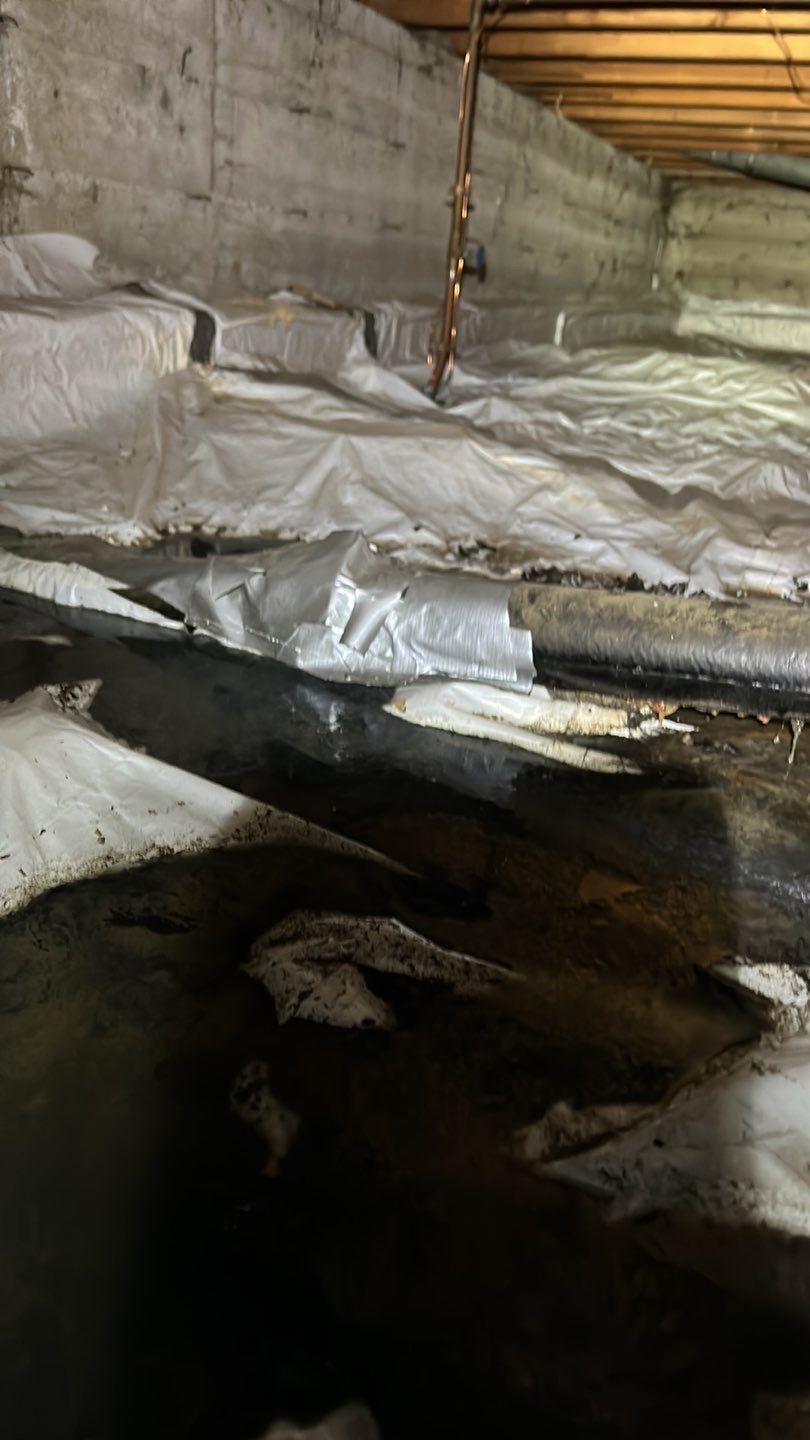 Sewage Backup by Accountable Home Services