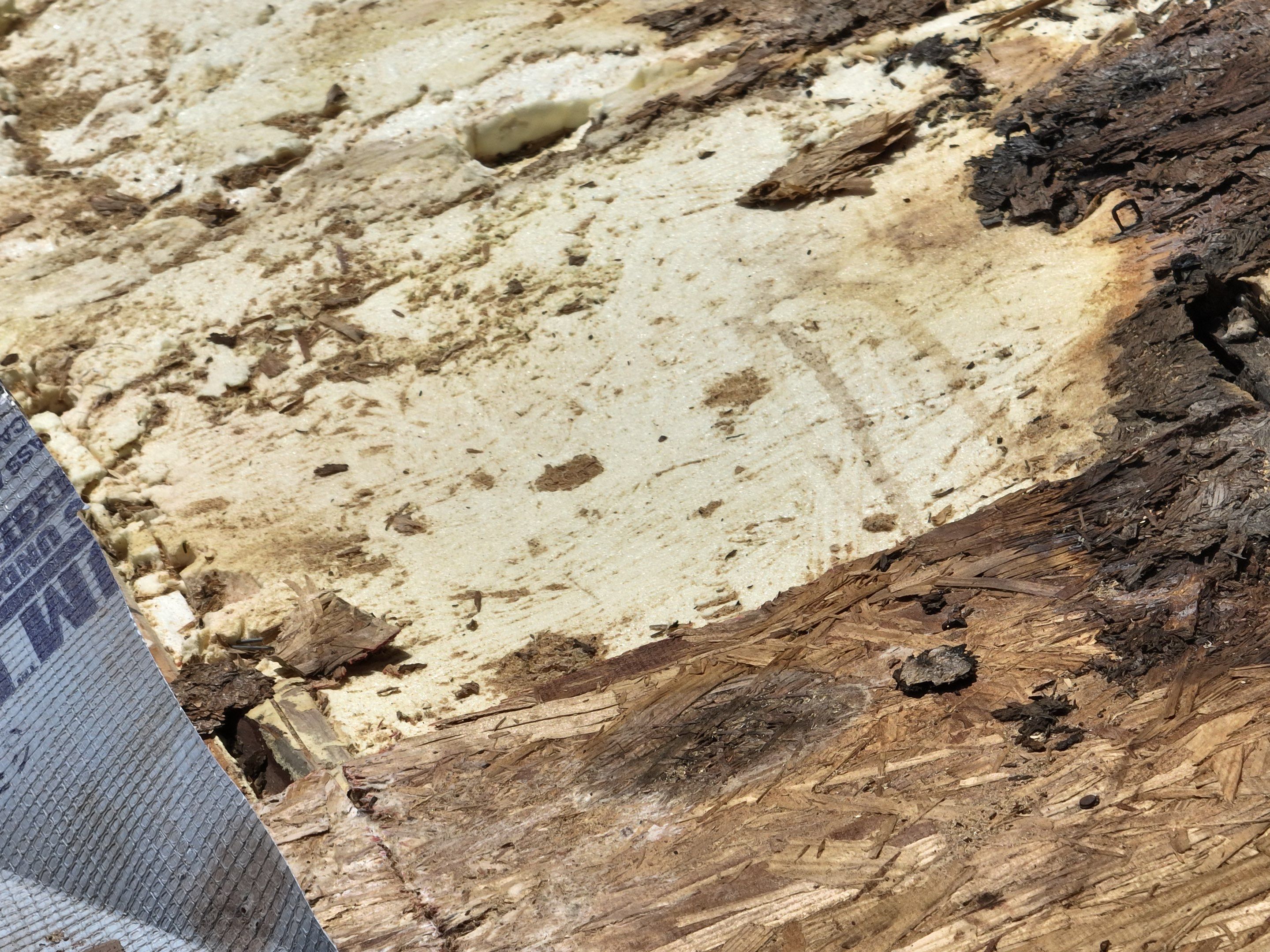 Tile Roof Repair  using Concrete S Tile by Premier Roofing and Contracting