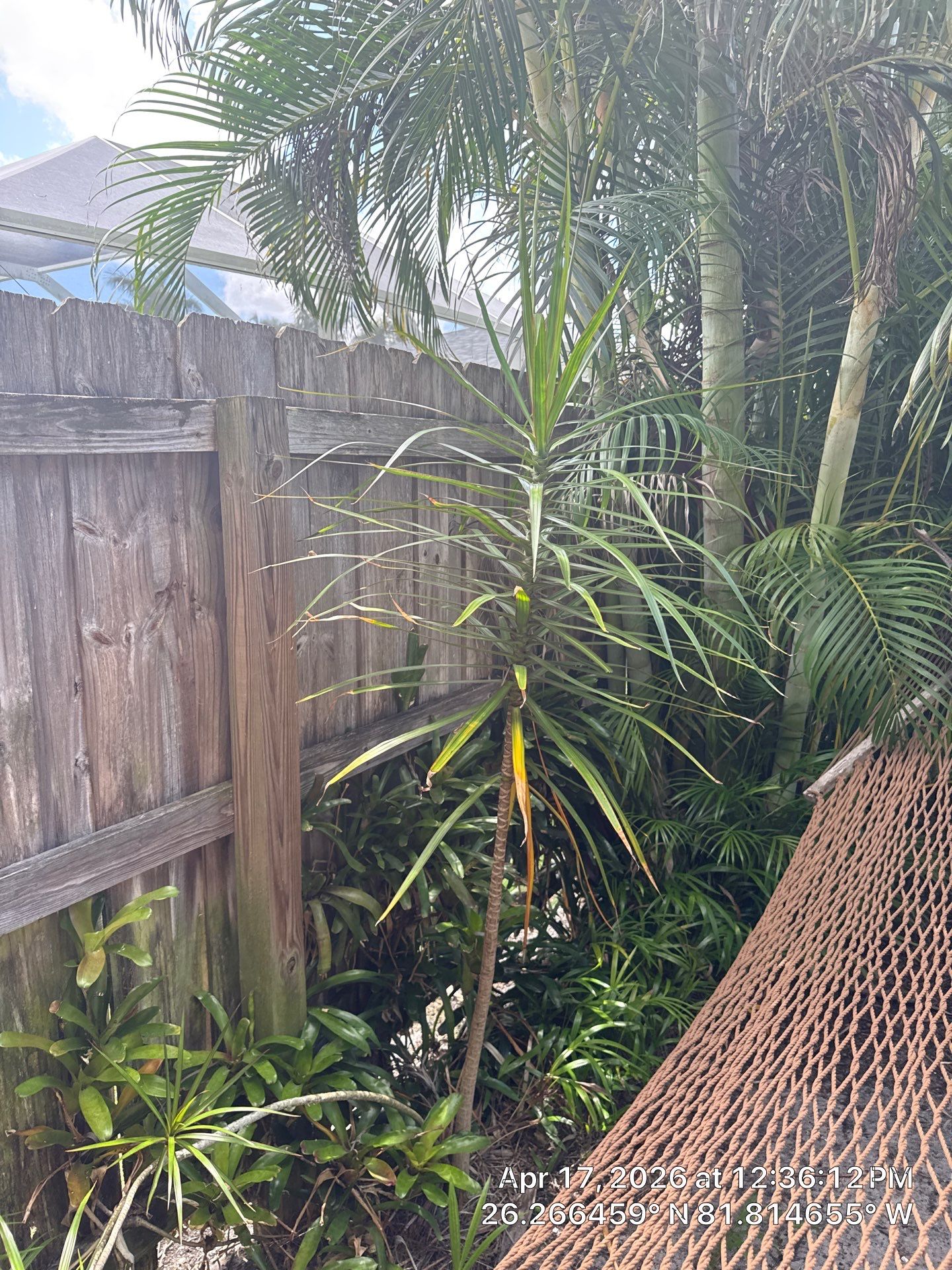 Vinyl Replacement in Naples by True Fence LLC
