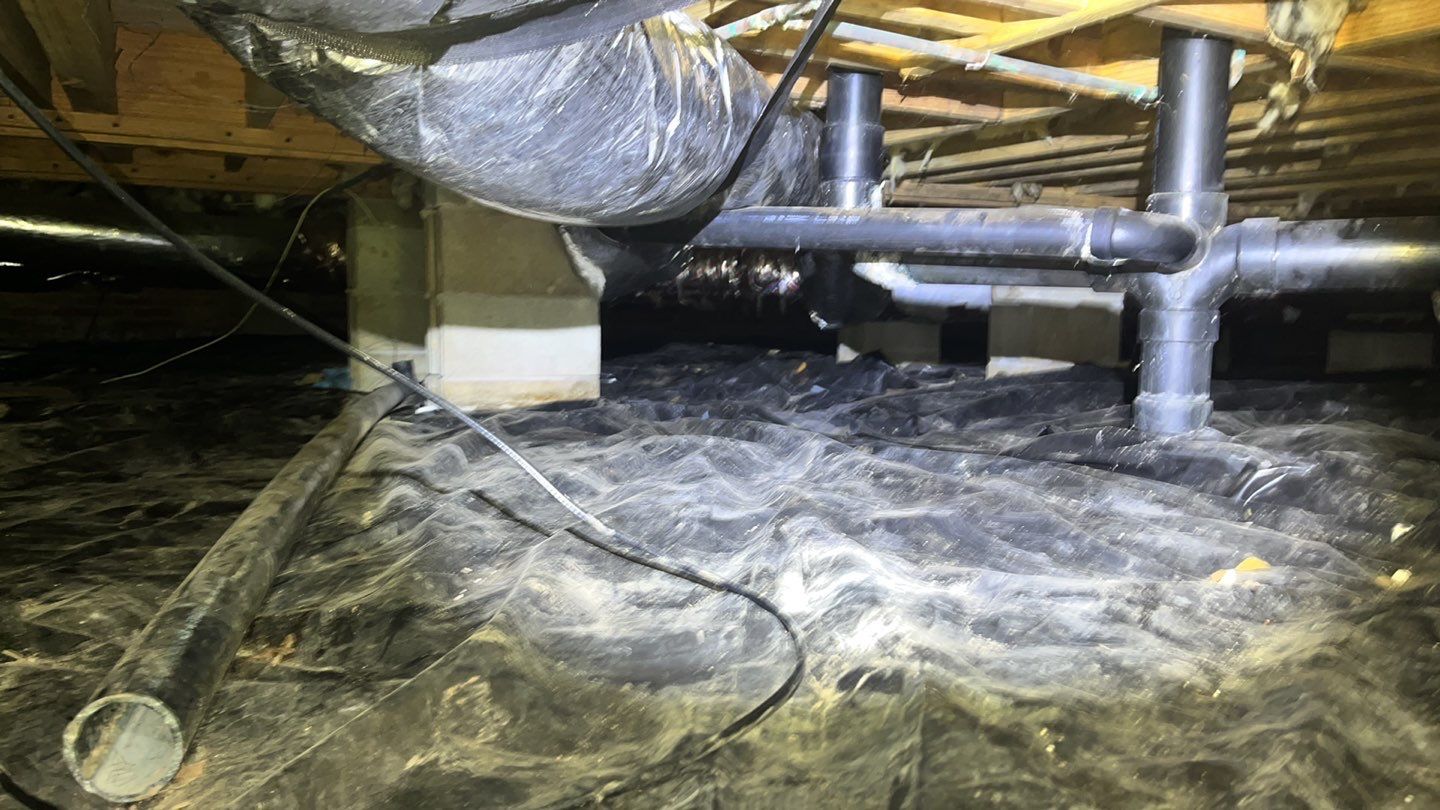 Impact Choice Encapsulation using YCS Pro Cleaner by Impact Crawlspace
