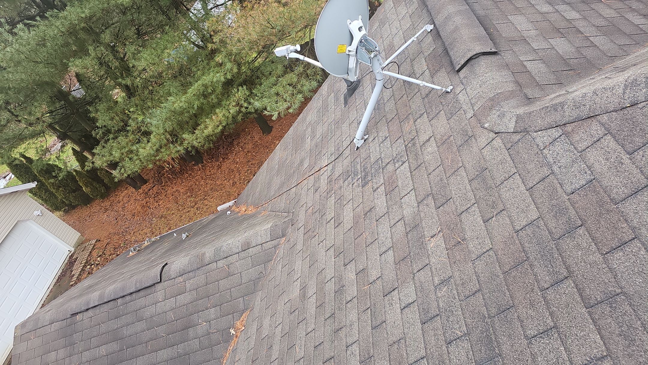 Alpha Rib, Color: Forest Green by Eagle Eye Roofing