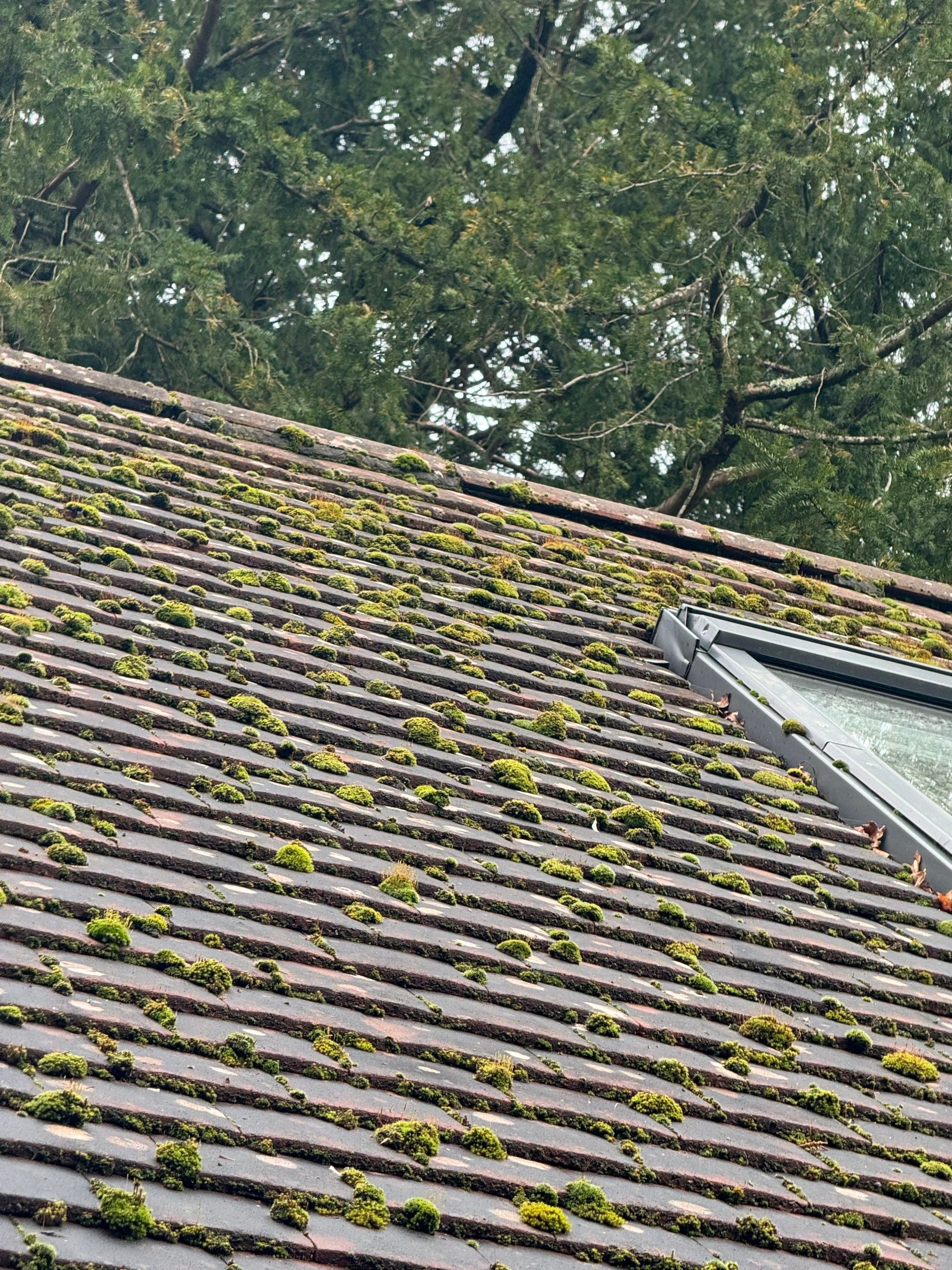 Roof and Patio Cleaning using Honda 15lpm Low Pressure Washing Machine by Ges Exterior Cleaning ltd