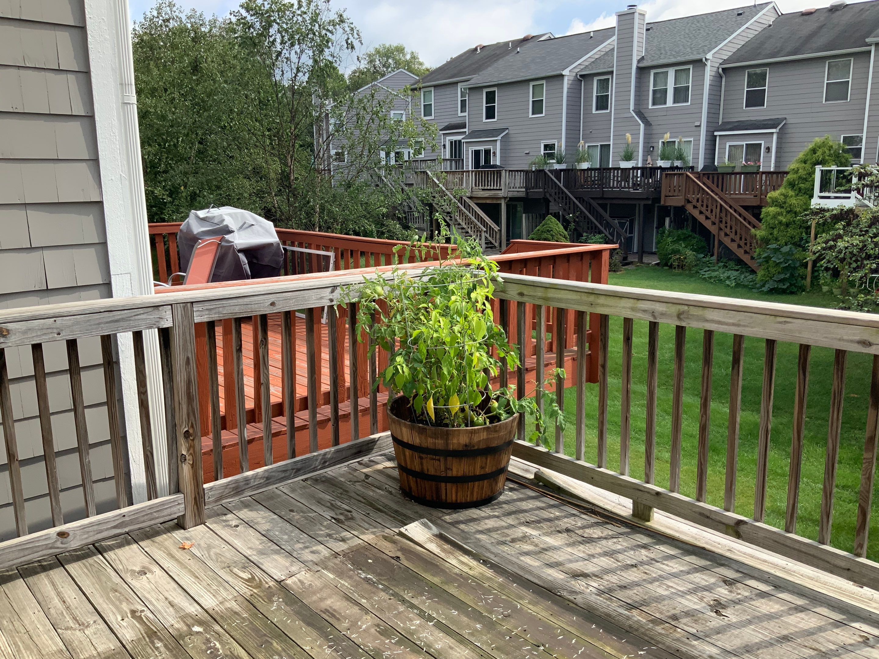 Deck Repair using Olympic Elite stains by Alpha Design Services