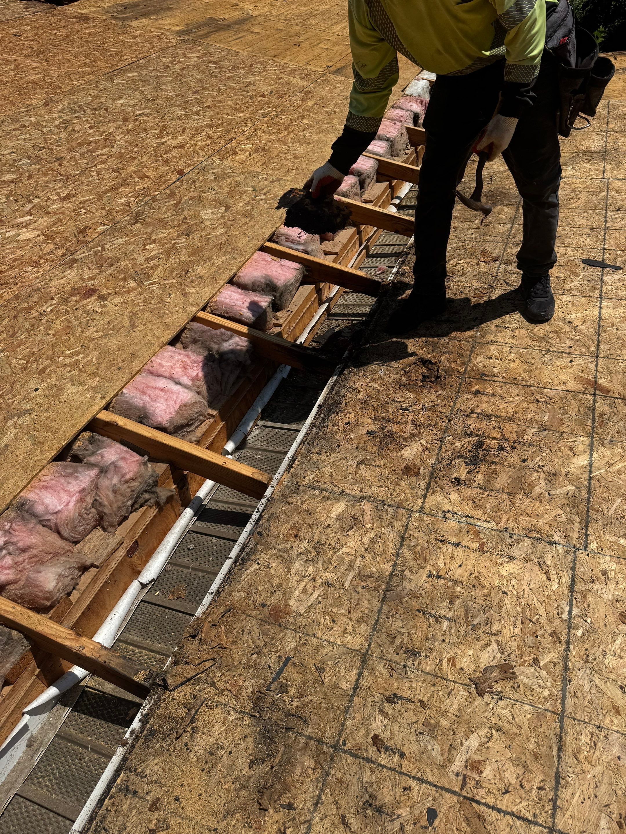 Roof Replacement - Landmark PRO Red Oak by Winchester Roofing