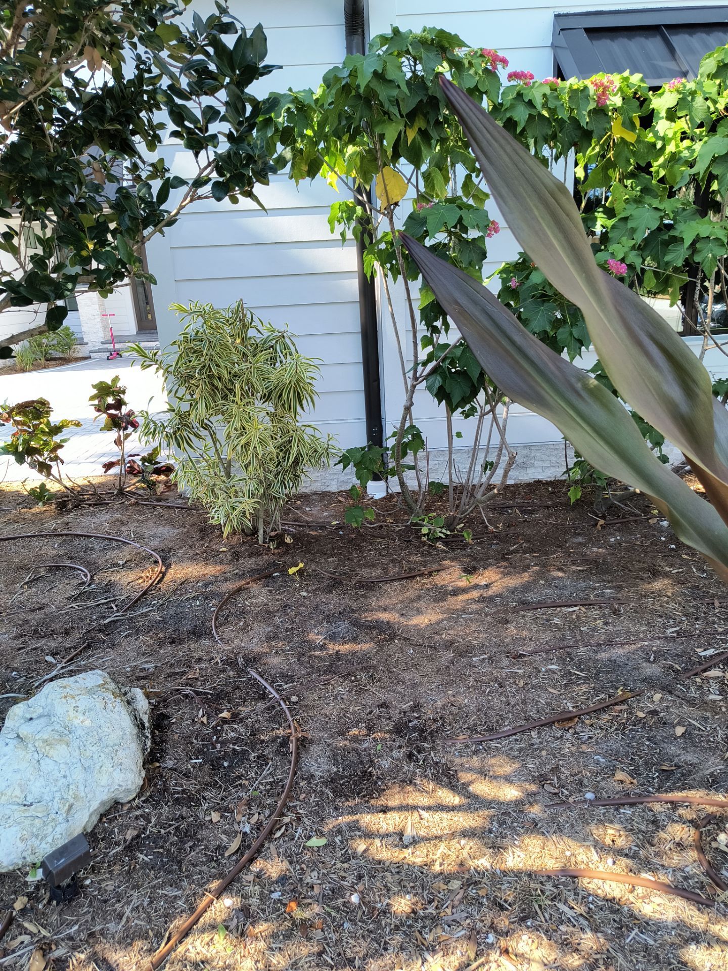 Gutter Cleaning Service in Sarasota FL by Gutter Professors